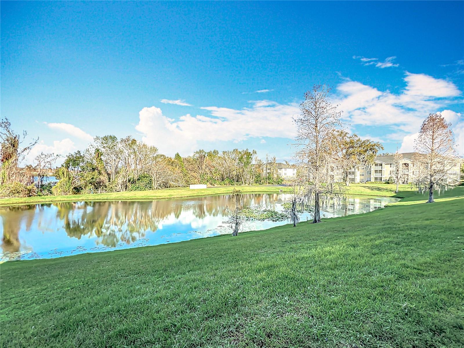 4280 SUMMER LANDING DR #204, LAKELAND, FL, 33810