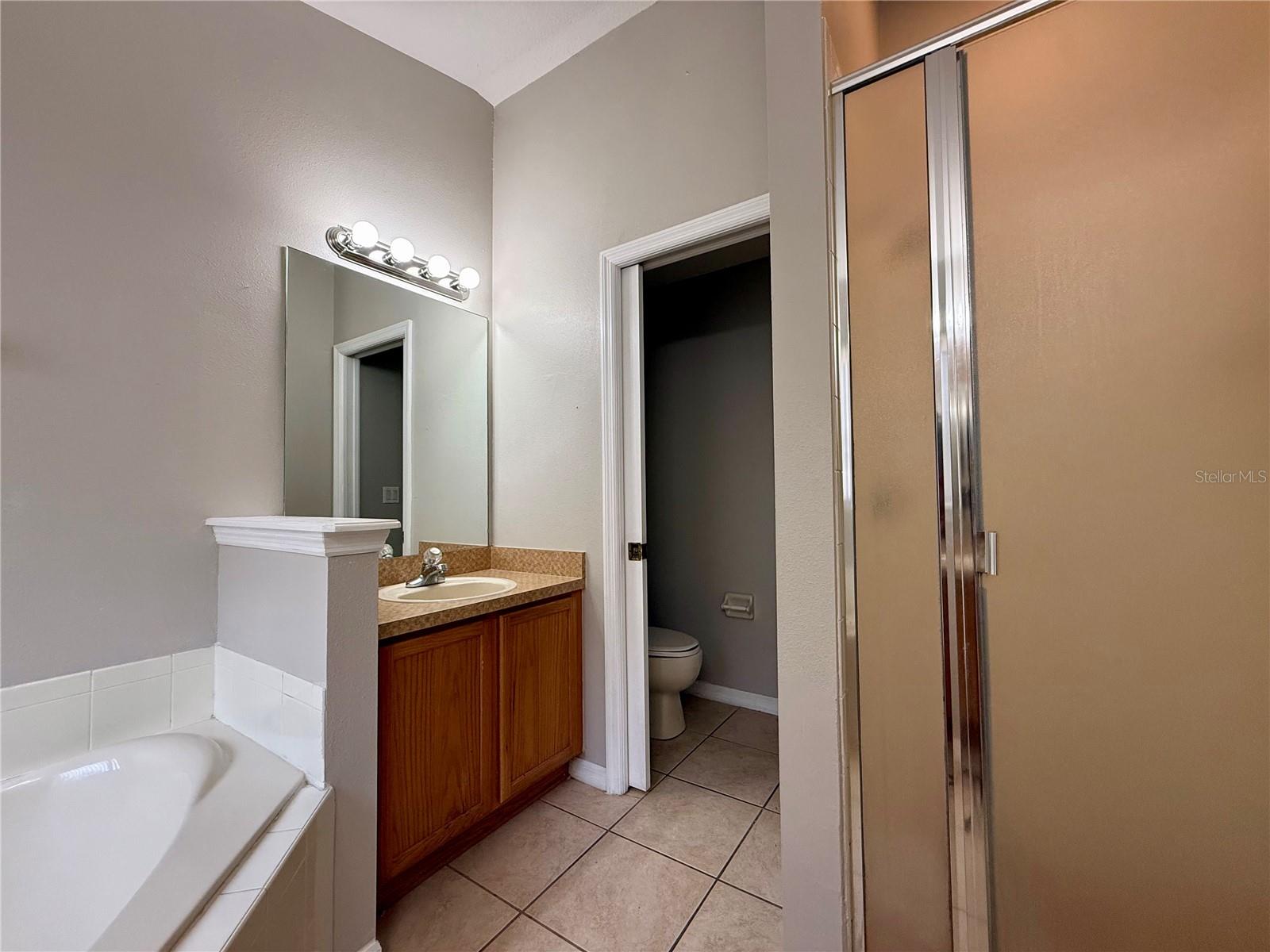 25141 IRONWEDGE DR, SORRENTO, FL, 32776