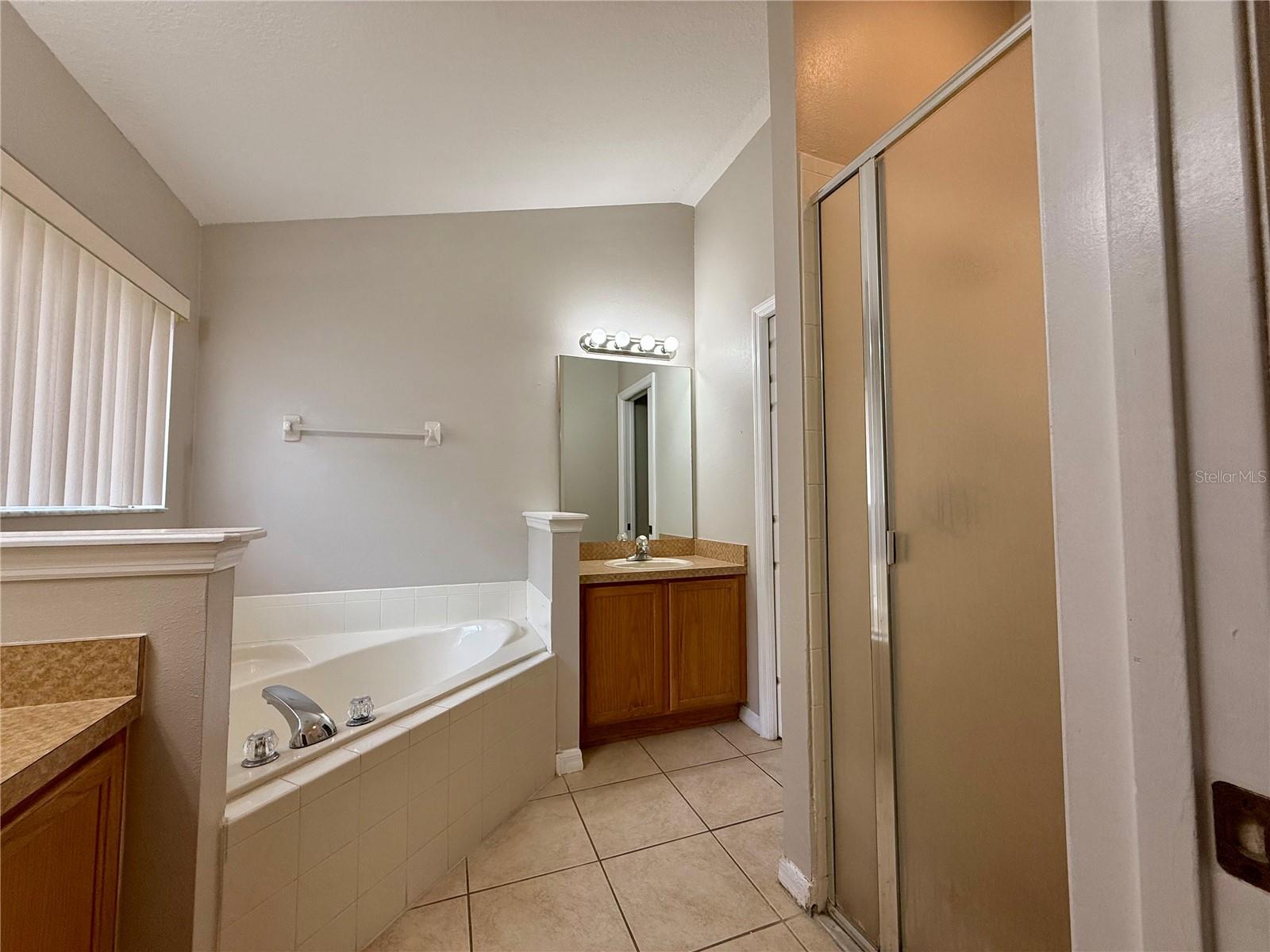 25141 IRONWEDGE DR, SORRENTO, FL, 32776