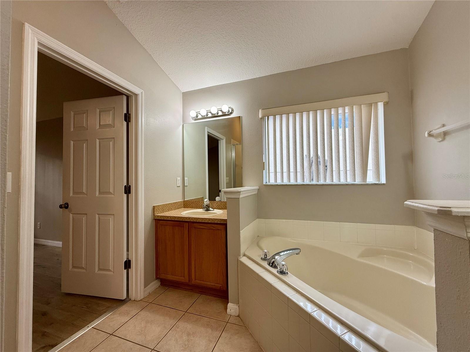 25141 IRONWEDGE DR, SORRENTO, FL, 32776