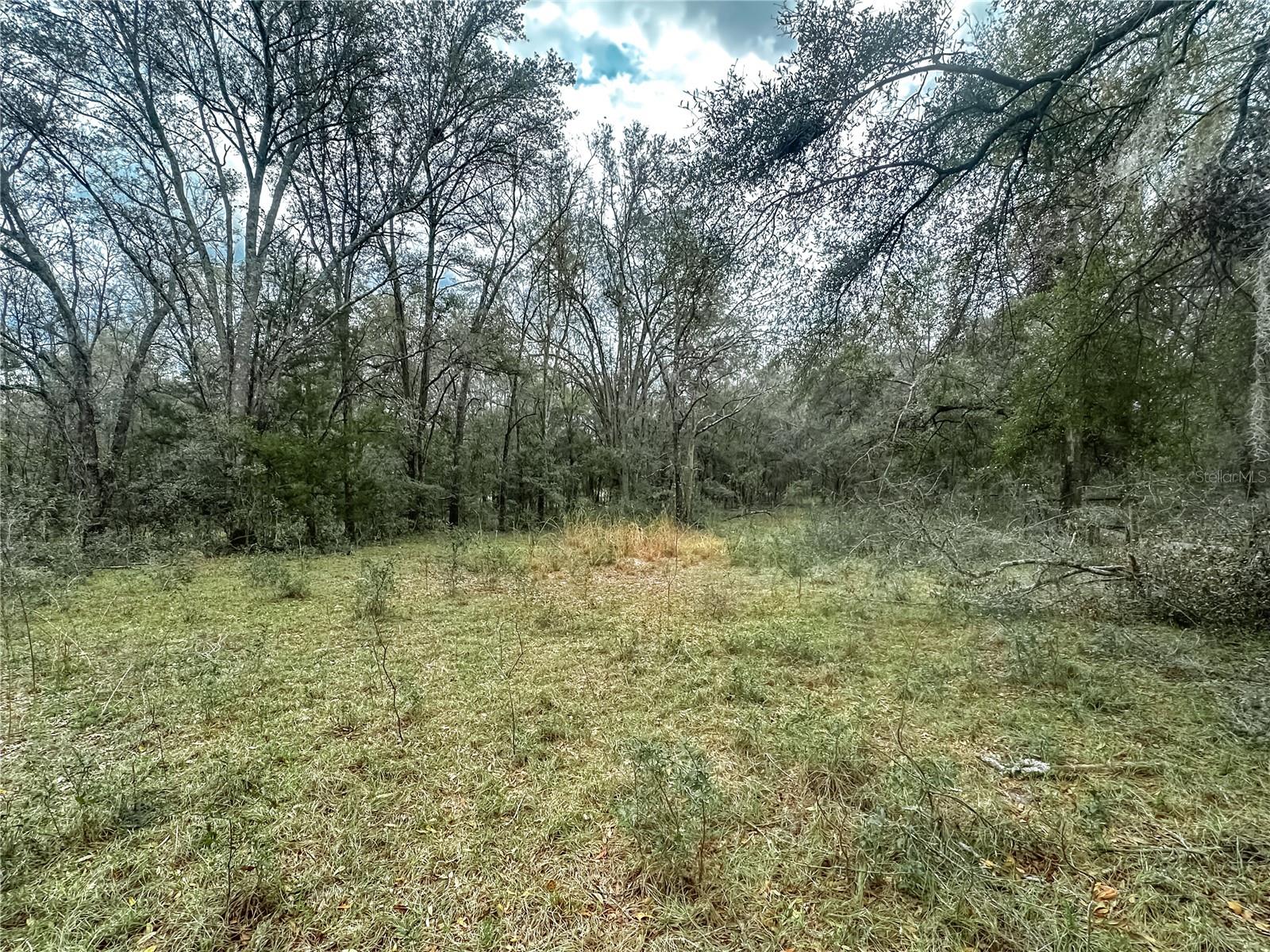 891 SW APPLEWOOD GLN, FORT WHITE, FL, 32038