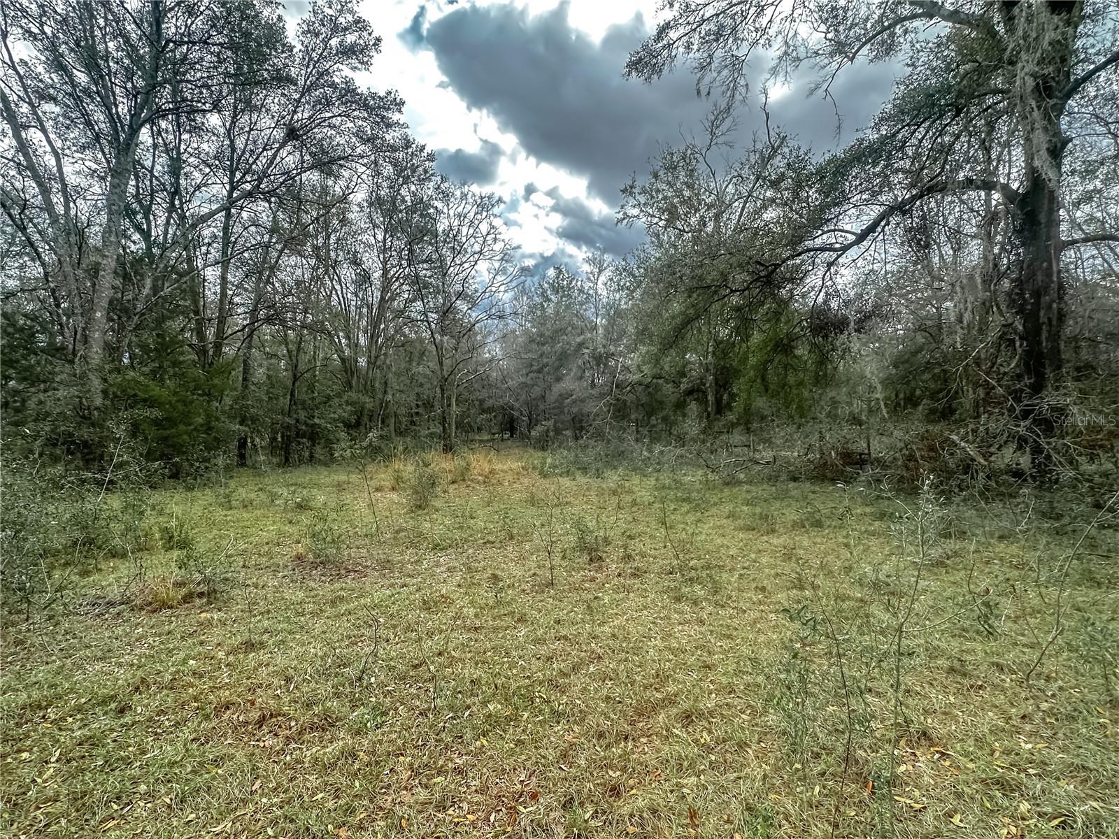 891 SW APPLEWOOD GLN, FORT WHITE, FL, 32038