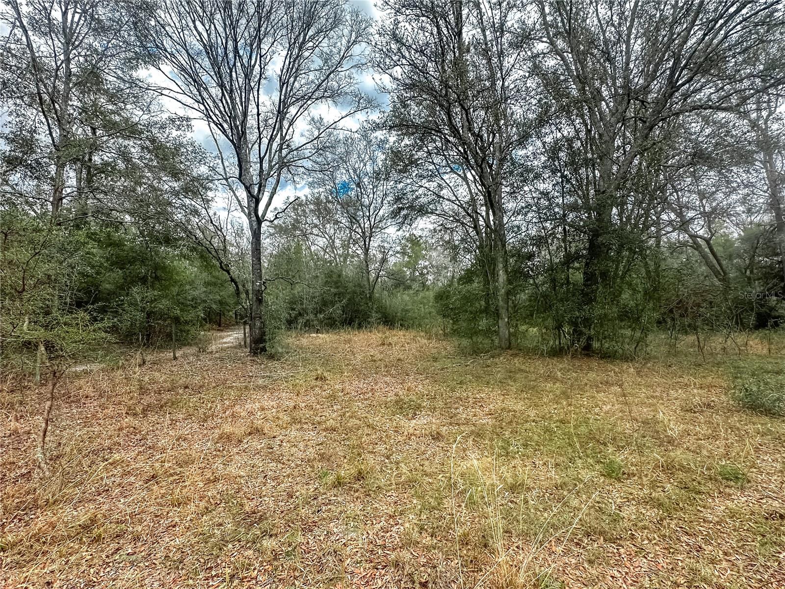 891 SW APPLEWOOD GLN, FORT WHITE, FL, 32038