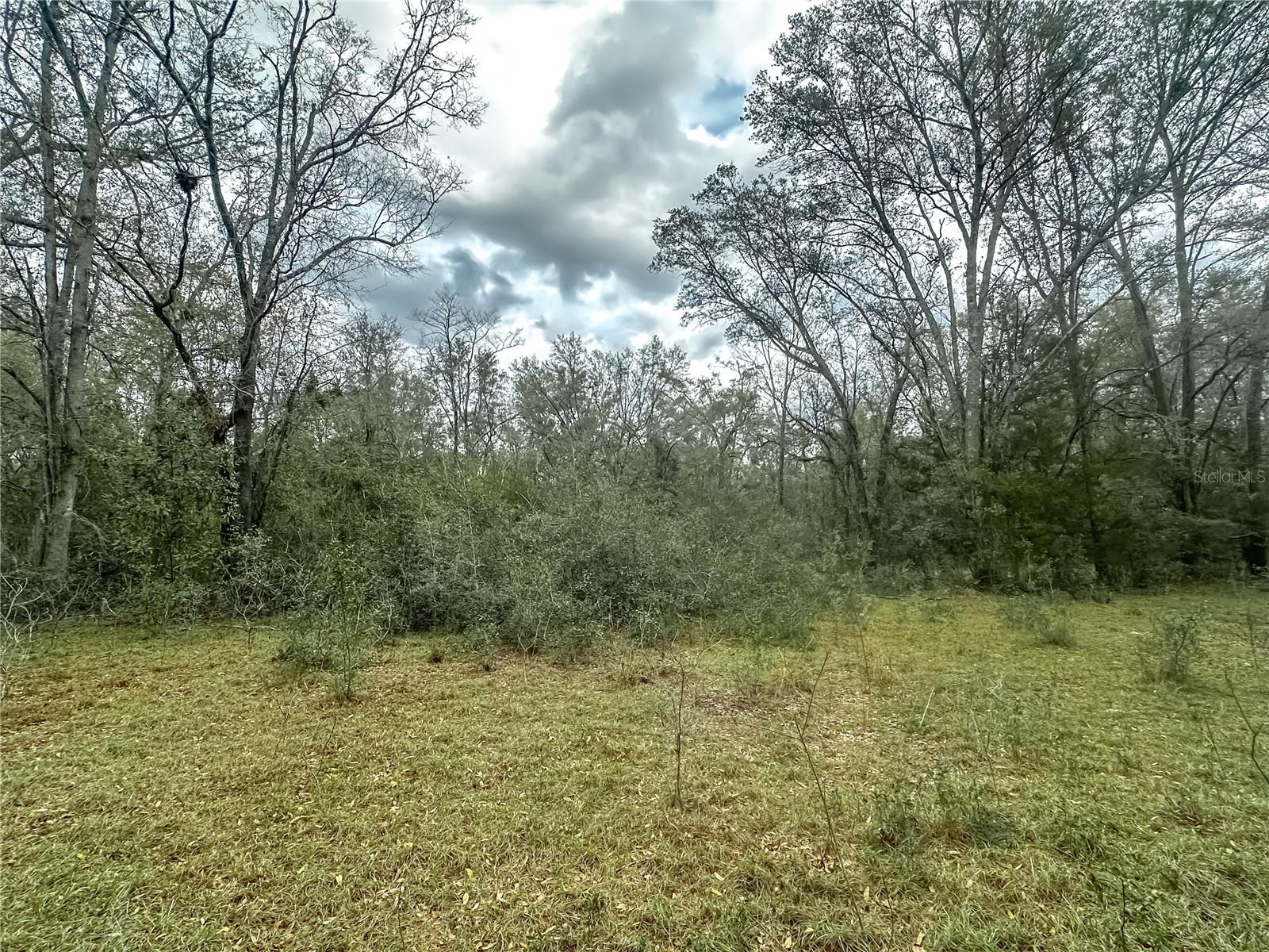 891 SW APPLEWOOD GLN, FORT WHITE, FL, 32038