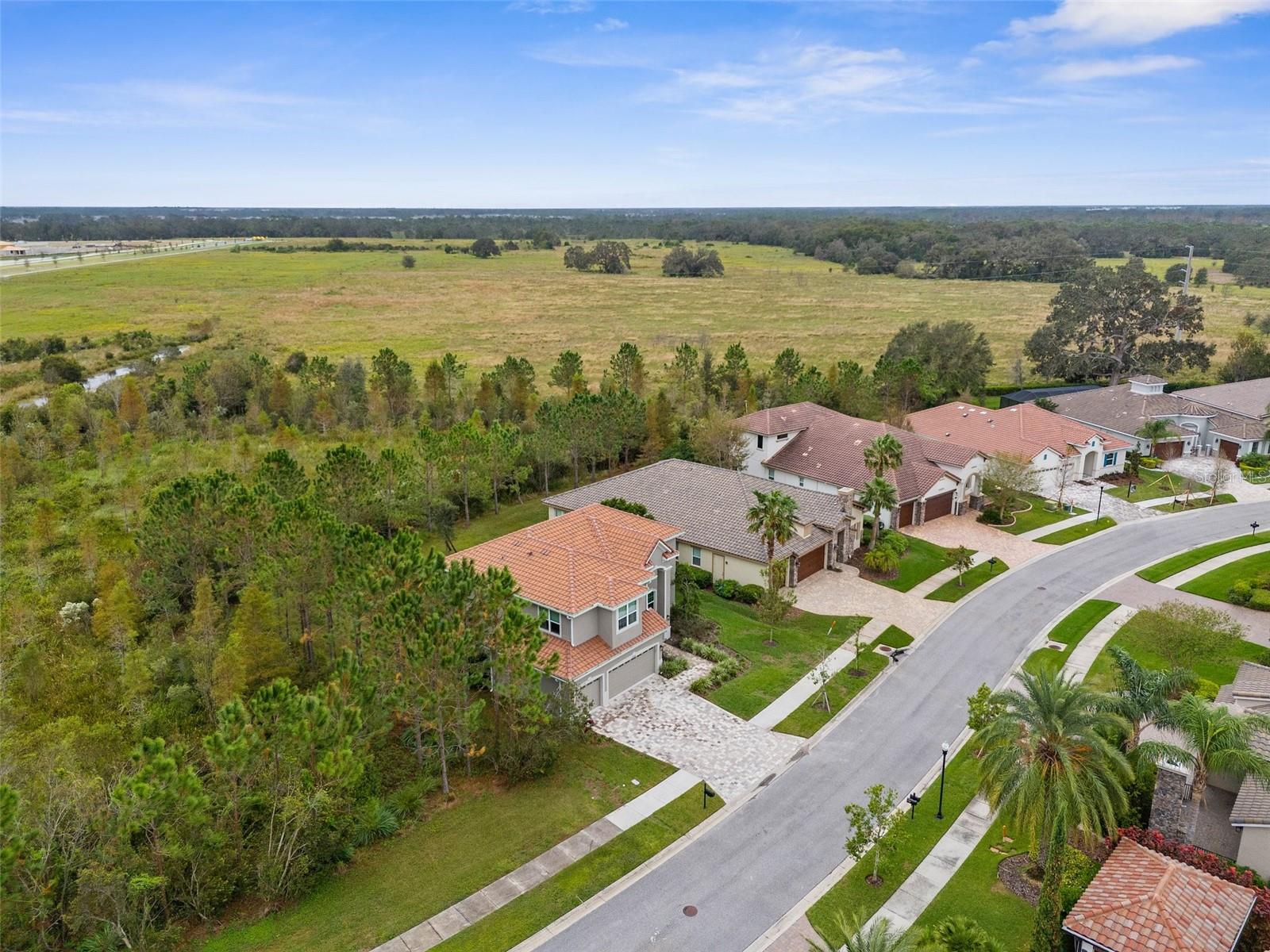 32924 ESTATE GARDEN DR, WESLEY CHAPEL, FL, 33545