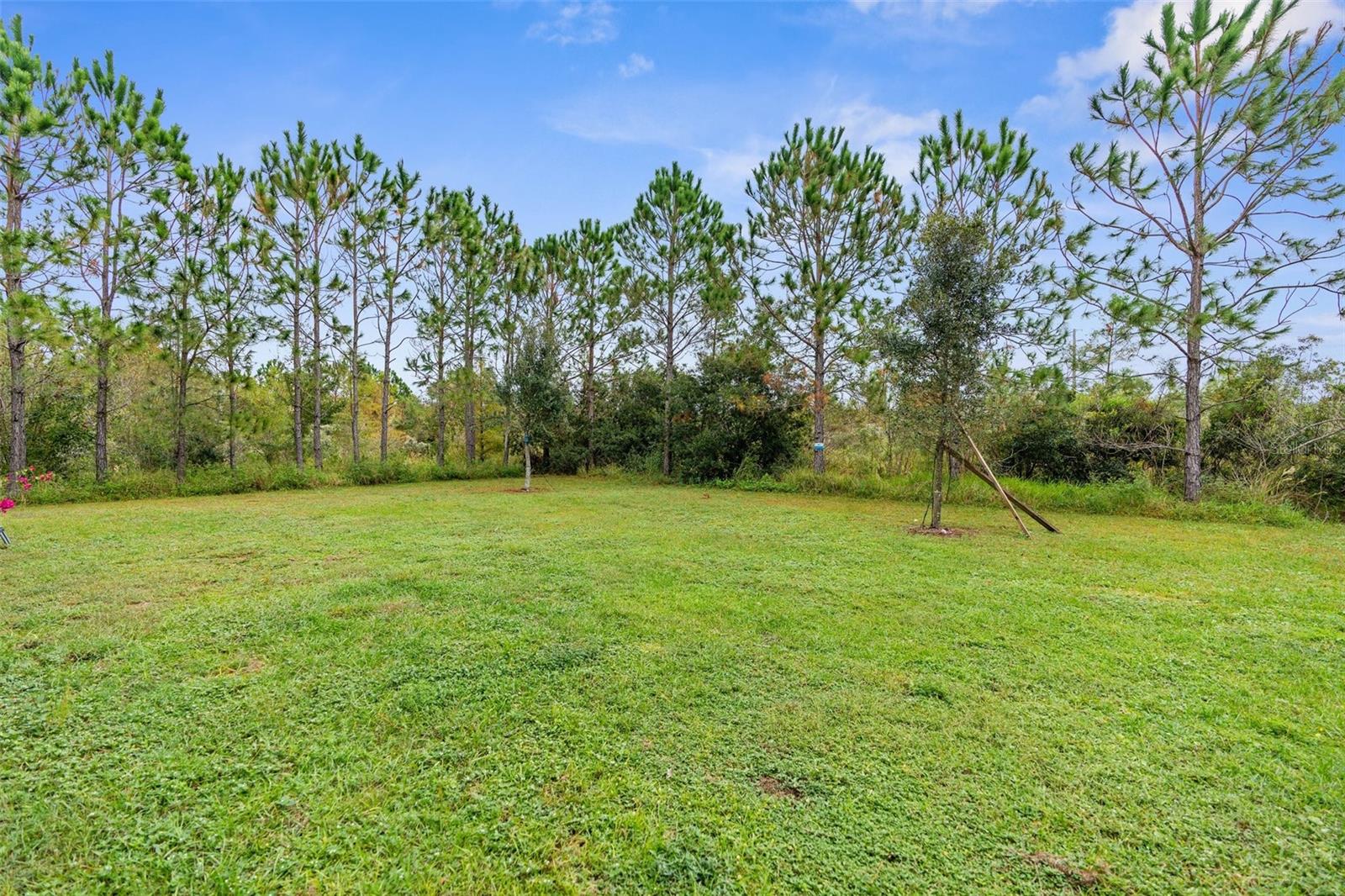 32924 ESTATE GARDEN DR, WESLEY CHAPEL, FL, 33545