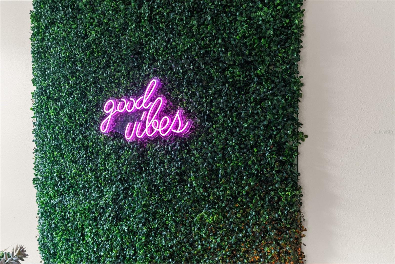 32924 ESTATE GARDEN DR, WESLEY CHAPEL, FL, 33545