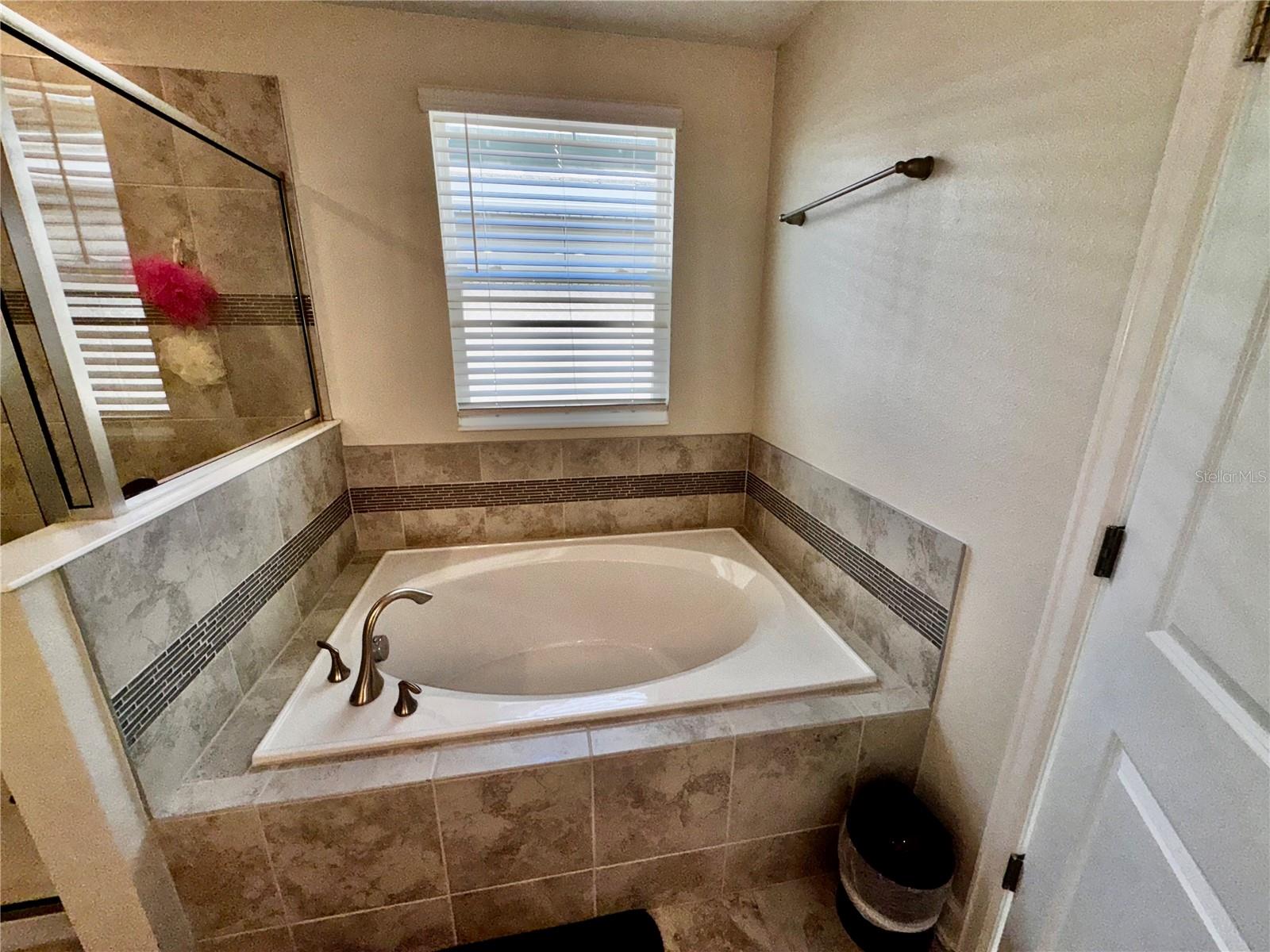 11939 SATIRE ST, ORLANDO, FL, 32832