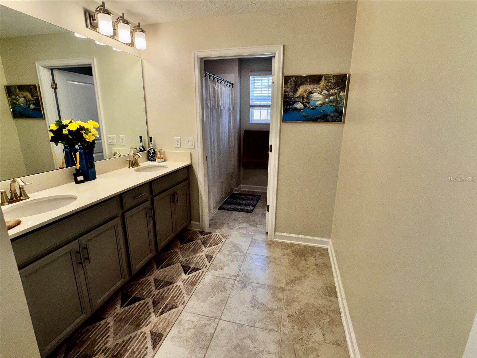 11939 SATIRE ST, ORLANDO, FL, 32832