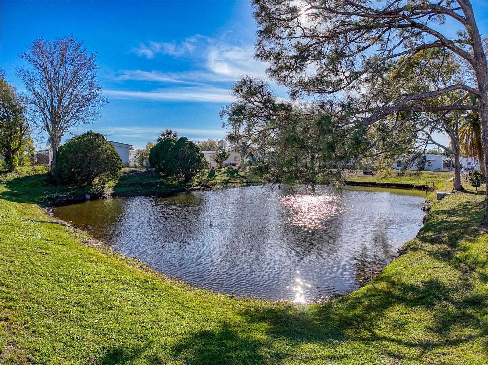 12209 HORSESHOE LN, HUDSON, FL, 34667