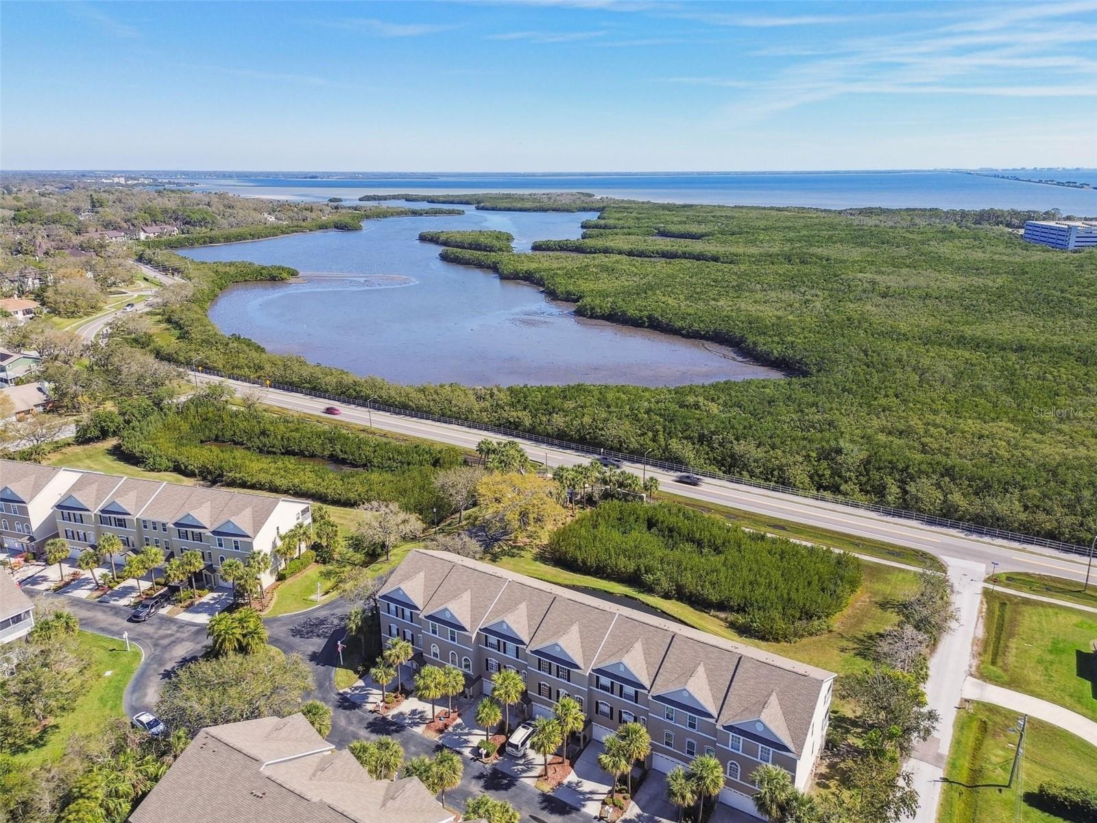 31 ESTUARY TRL, CLEARWATER, FL, 33759