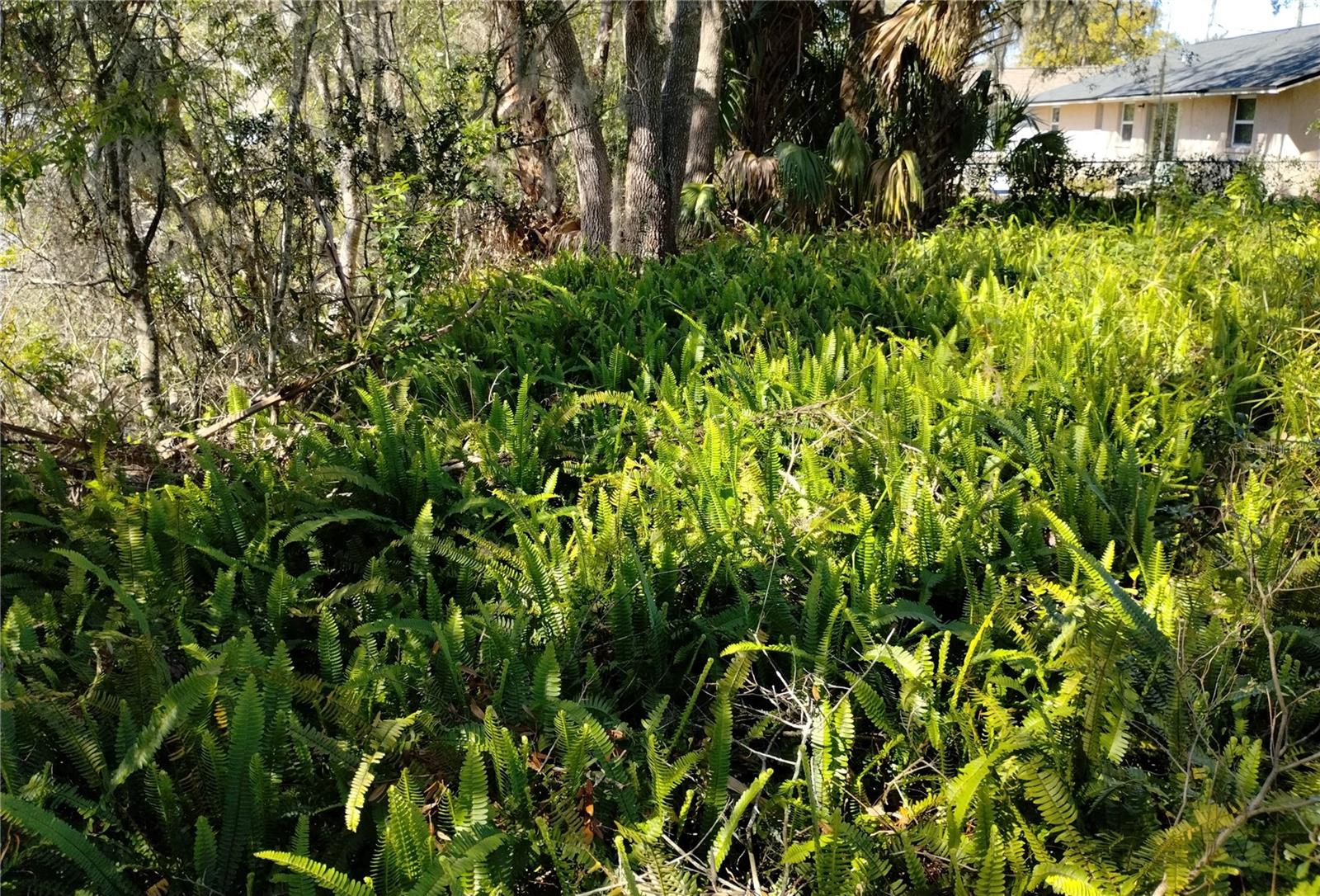 0 BELAH DR #Lot #8, NEW PORT RICHEY, FL, 34653