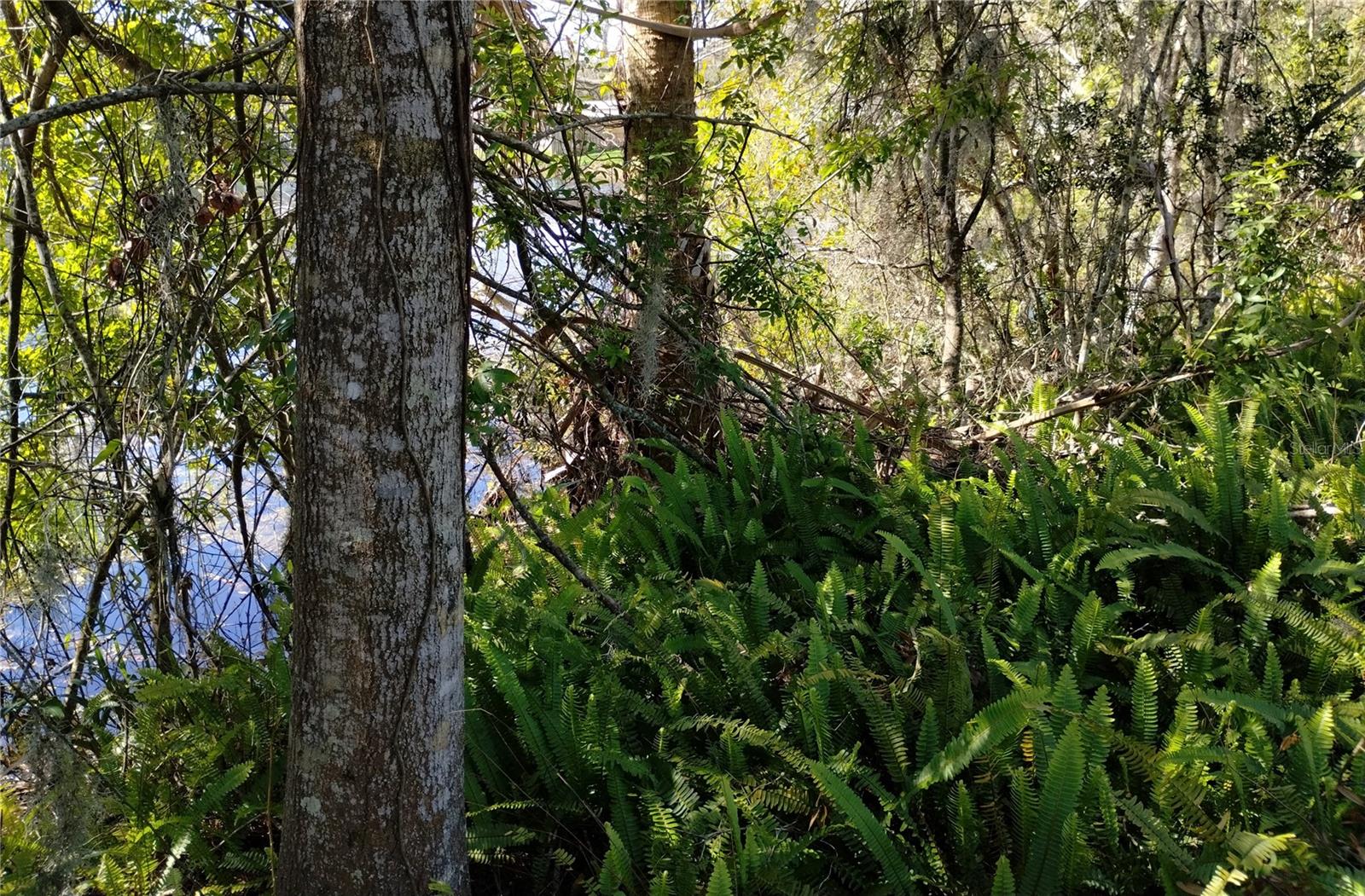 0 BELAH DR #Lot #8, NEW PORT RICHEY, FL, 34653