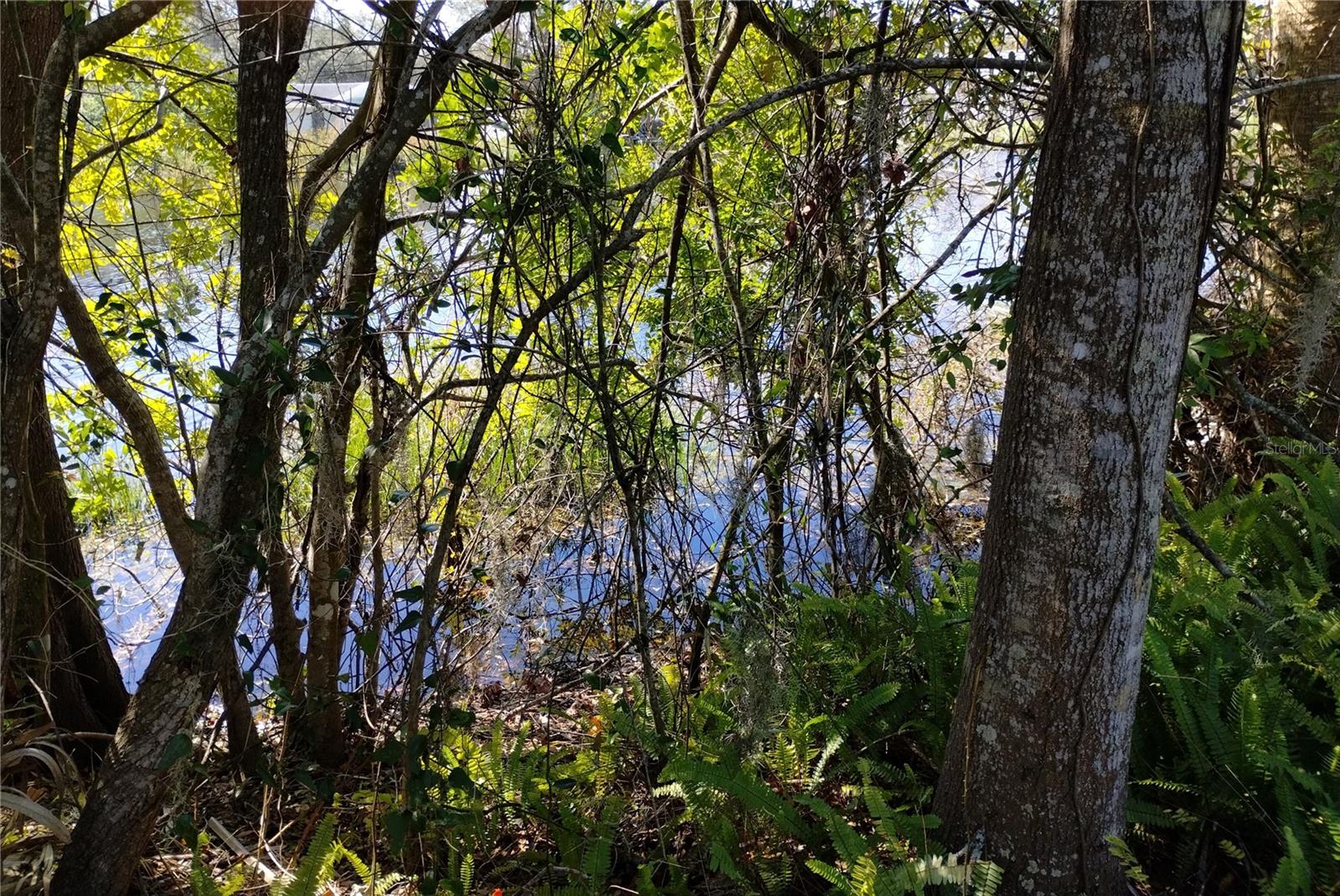 0 BELAH DR #Lot #8, NEW PORT RICHEY, FL, 34653