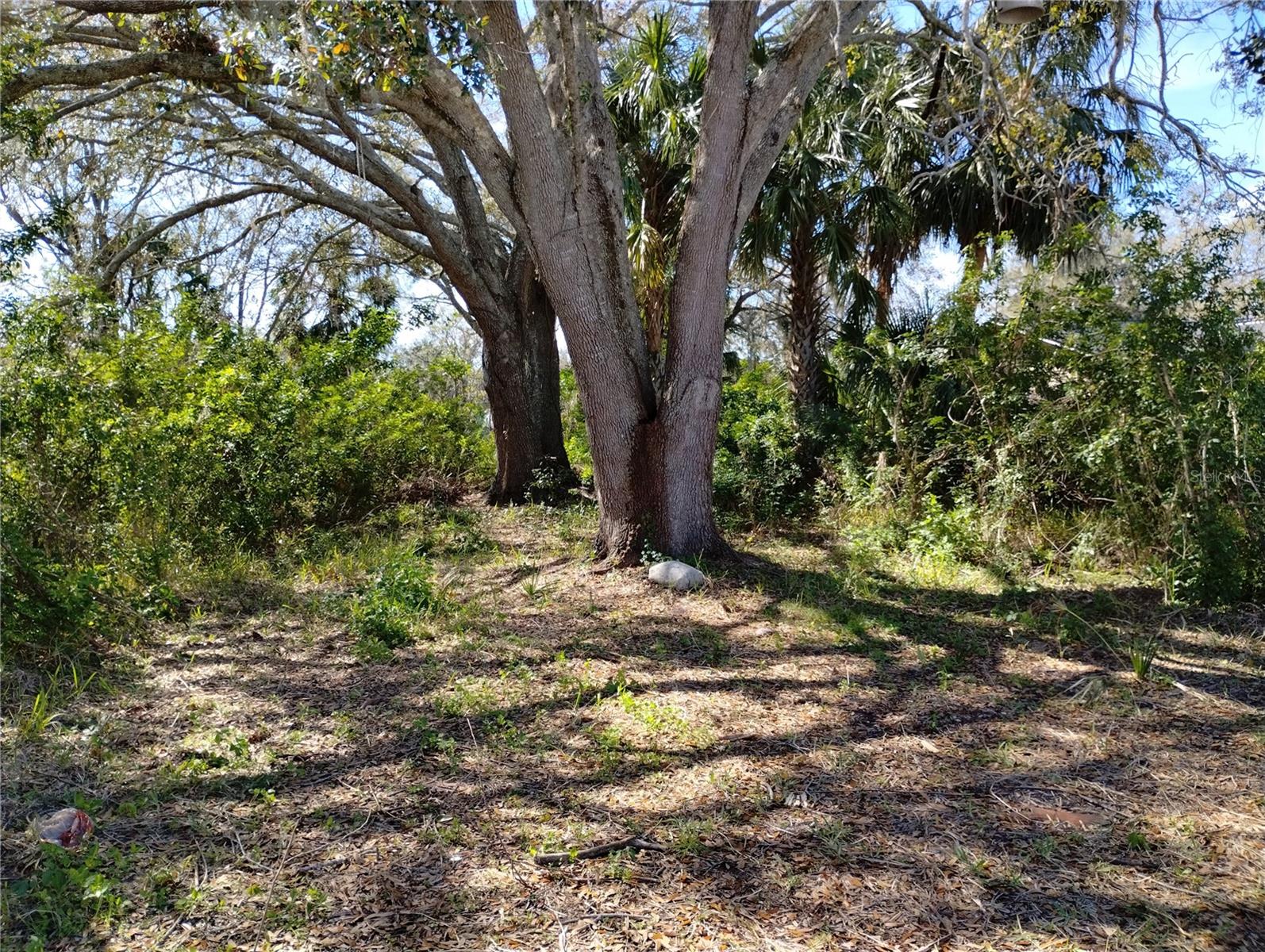 0 BELAH DR #Lot #8, NEW PORT RICHEY, FL, 34653