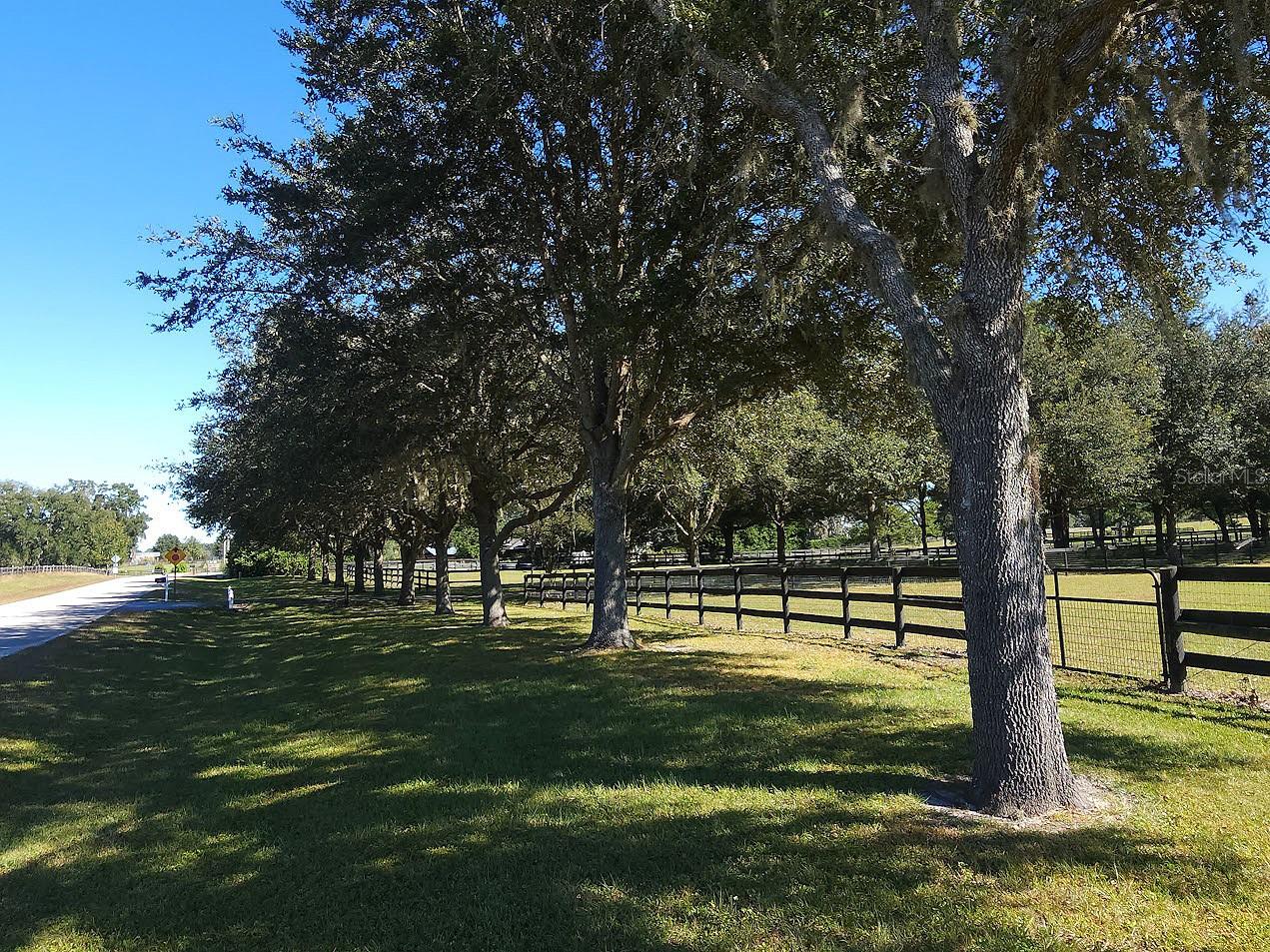 8585 NW 162ND CT, MORRISTON, FL, 32668