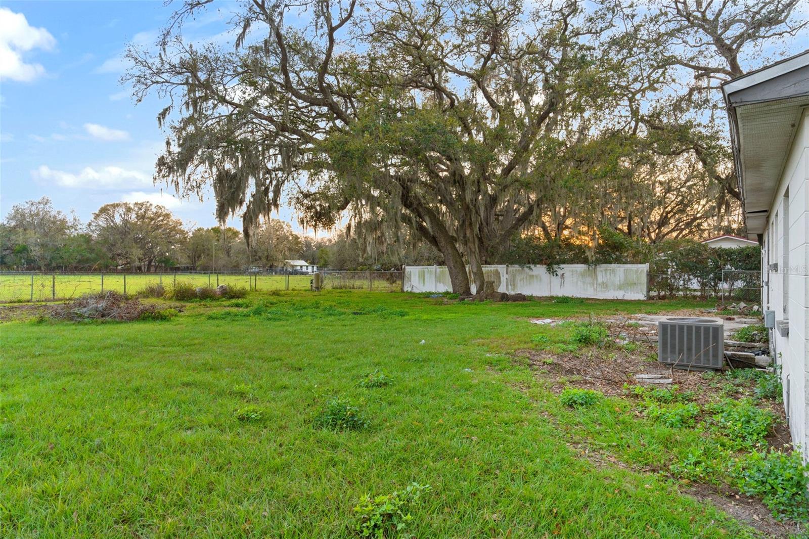 3800 LEVINS RD, MULBERRY, FL, 33860