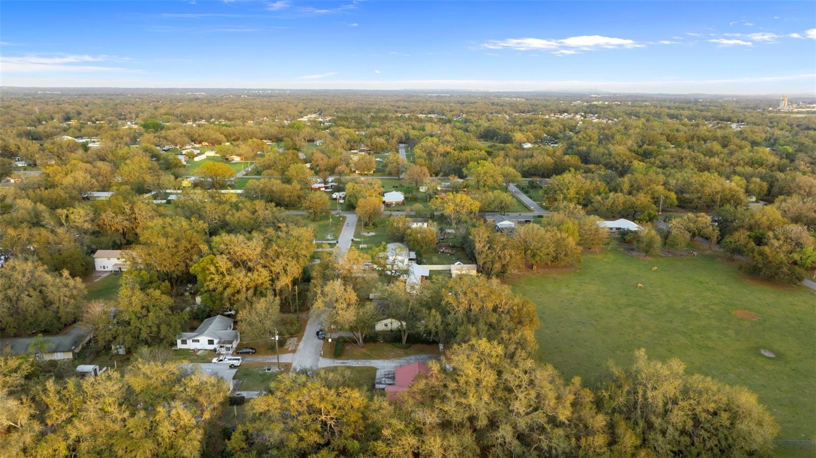 3800 LEVINS RD, MULBERRY, FL, 33860