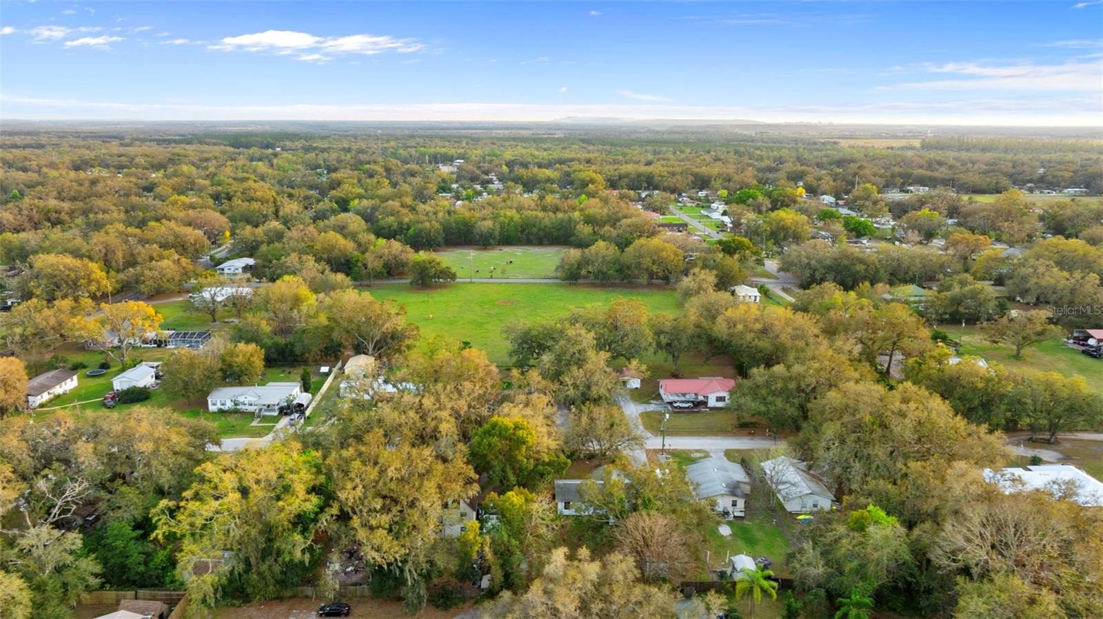 3800 LEVINS RD, MULBERRY, FL, 33860