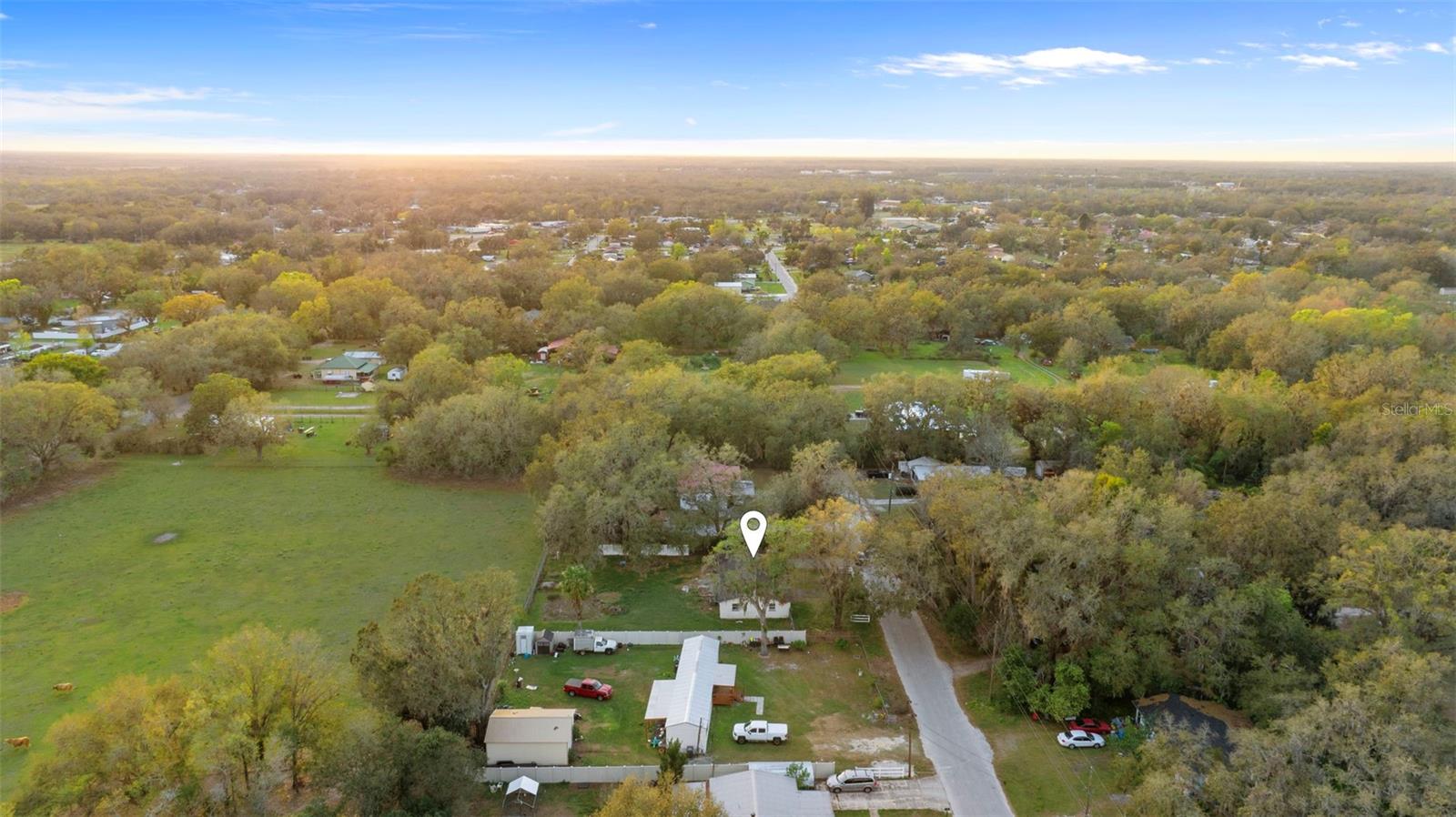 3800 LEVINS RD, MULBERRY, FL, 33860