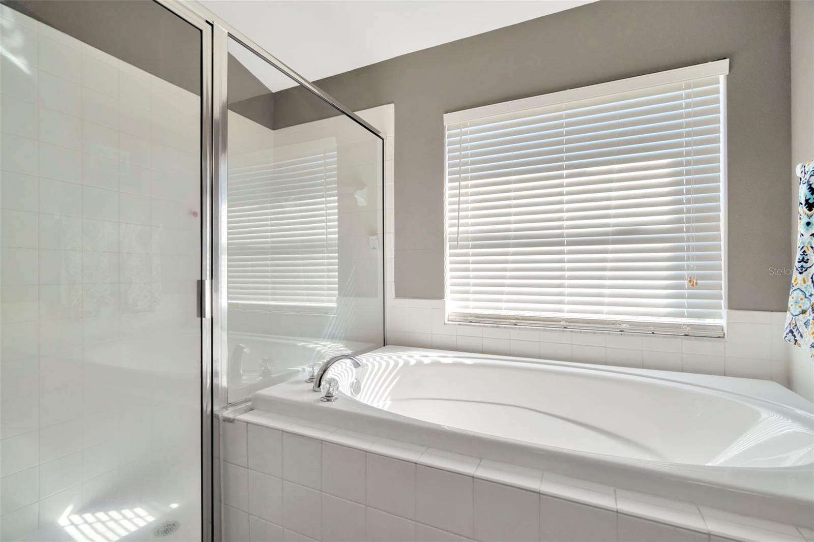 6810 GUILFORD CREST DR, APOLLO BEACH, FL, 33572