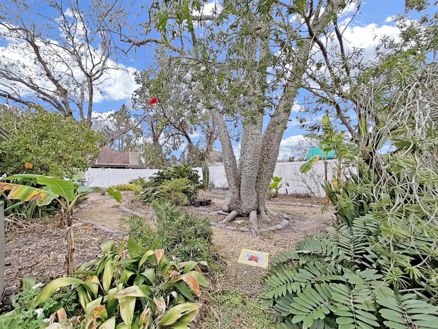13613 FAWN RIDGE BLVD, TAMPA, FL, 33626