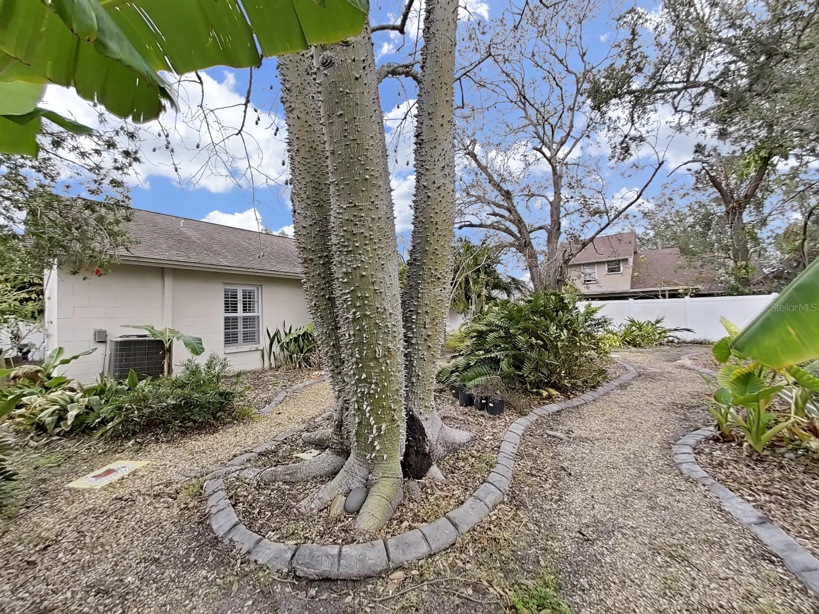 13613 FAWN RIDGE BLVD, TAMPA, FL, 33626