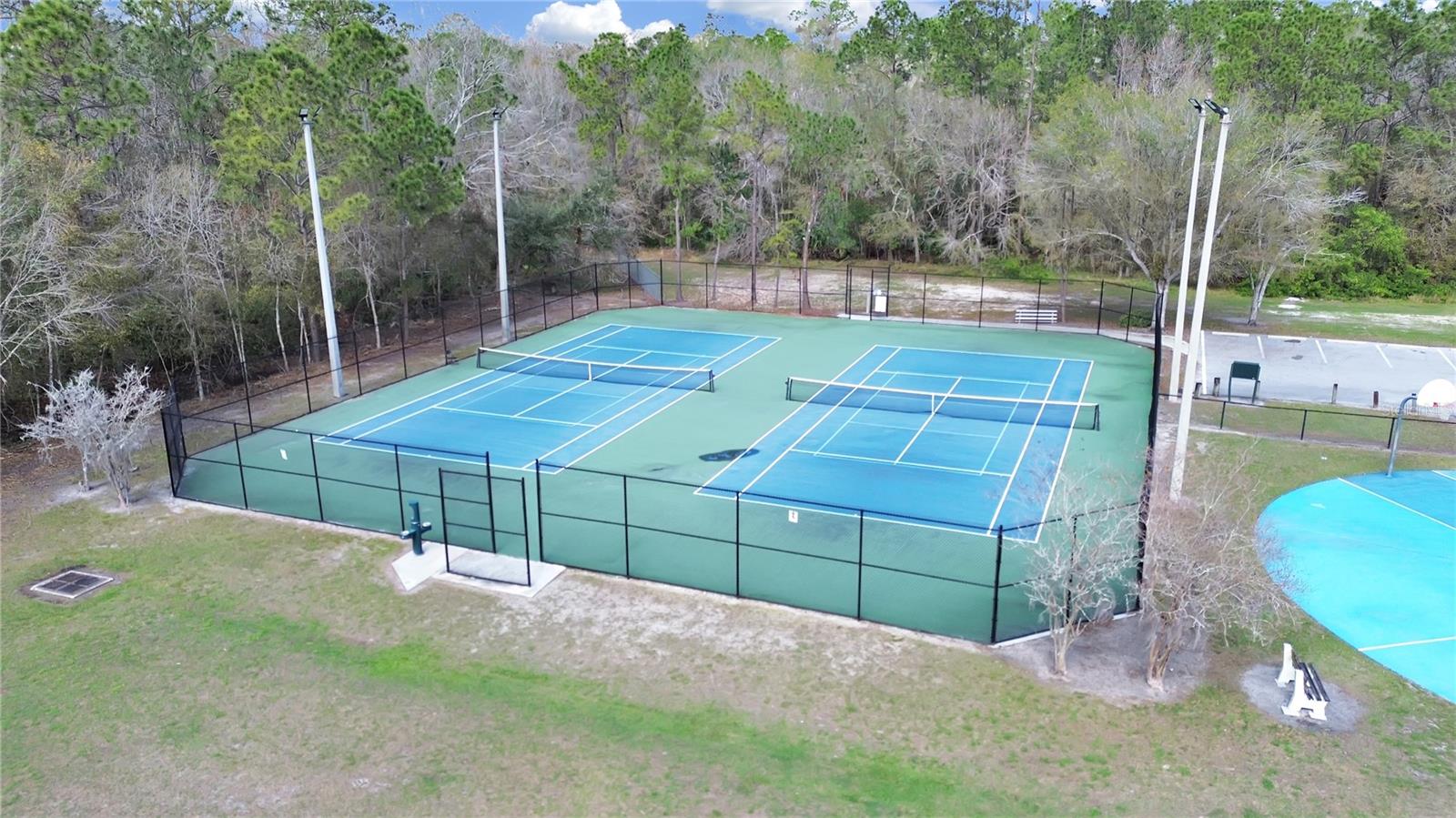 13613 FAWN RIDGE BLVD, TAMPA, FL, 33626