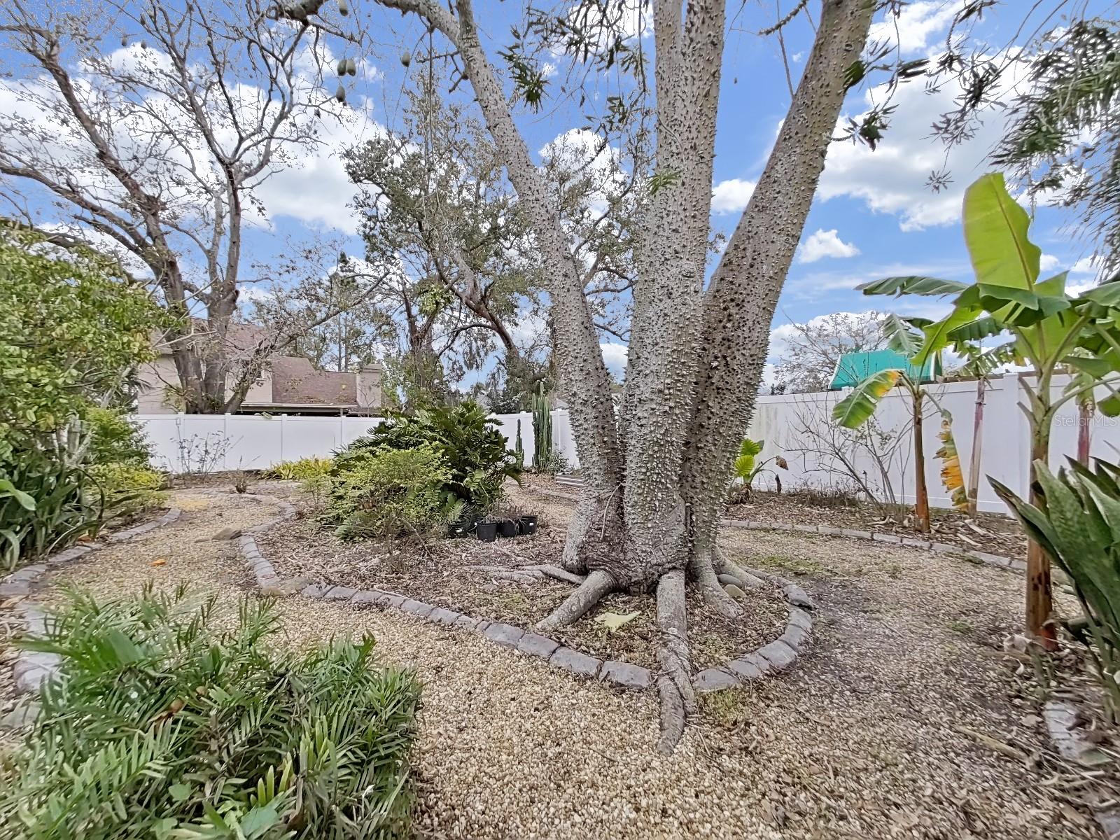 13613 FAWN RIDGE BLVD, TAMPA, FL, 33626