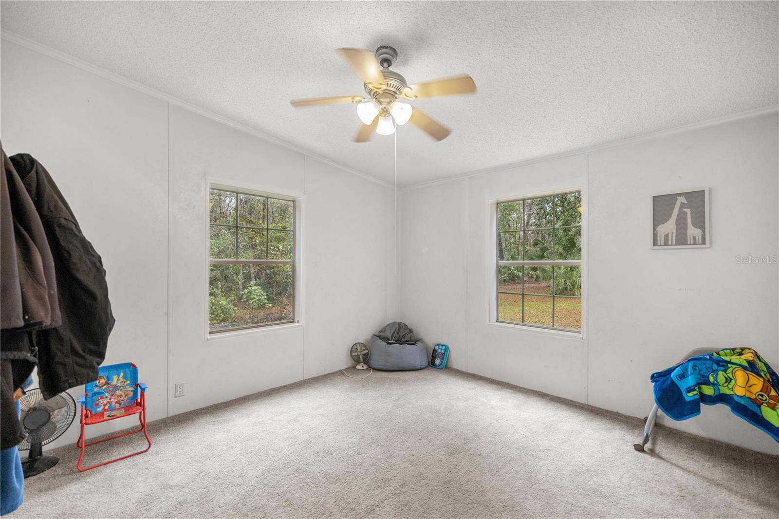 4131 NE 142ND PL, ANTHONY, FL, 32617
