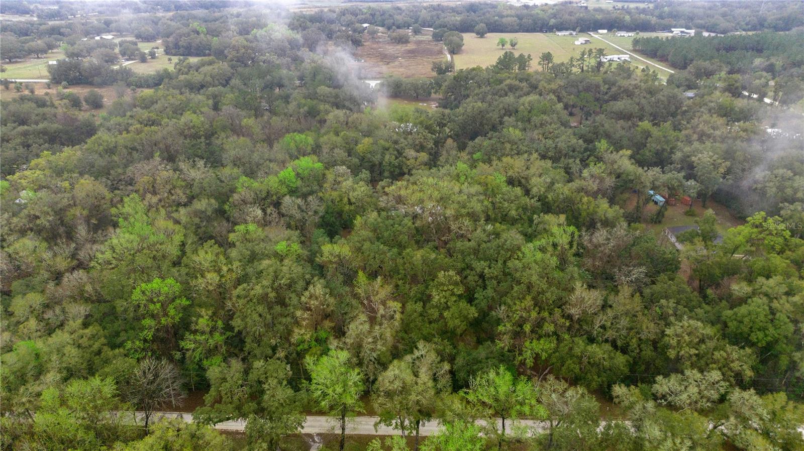 4131 NE 142ND PL, ANTHONY, FL, 32617