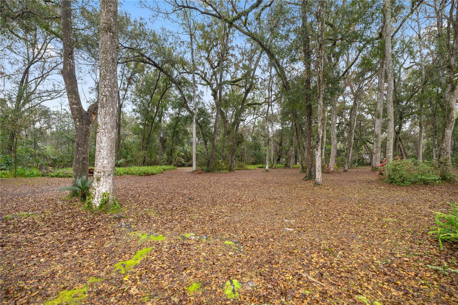 4131 NE 142ND PL, ANTHONY, FL, 32617