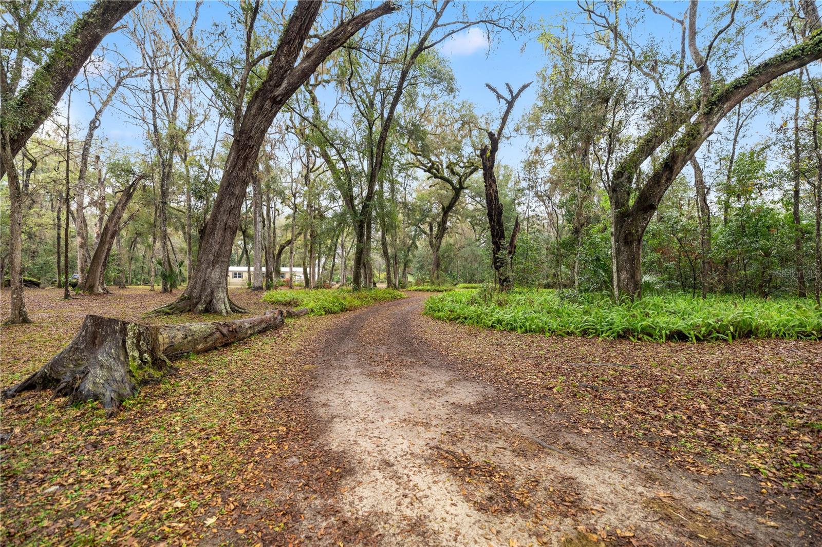 4131 NE 142ND PL, ANTHONY, FL, 32617