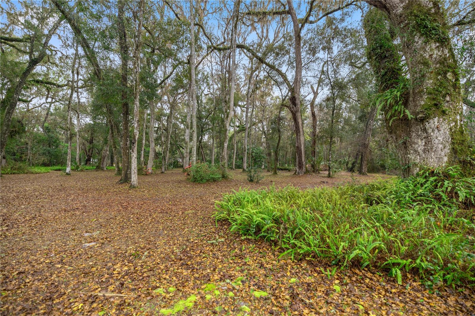 4131 NE 142ND PL, ANTHONY, FL, 32617