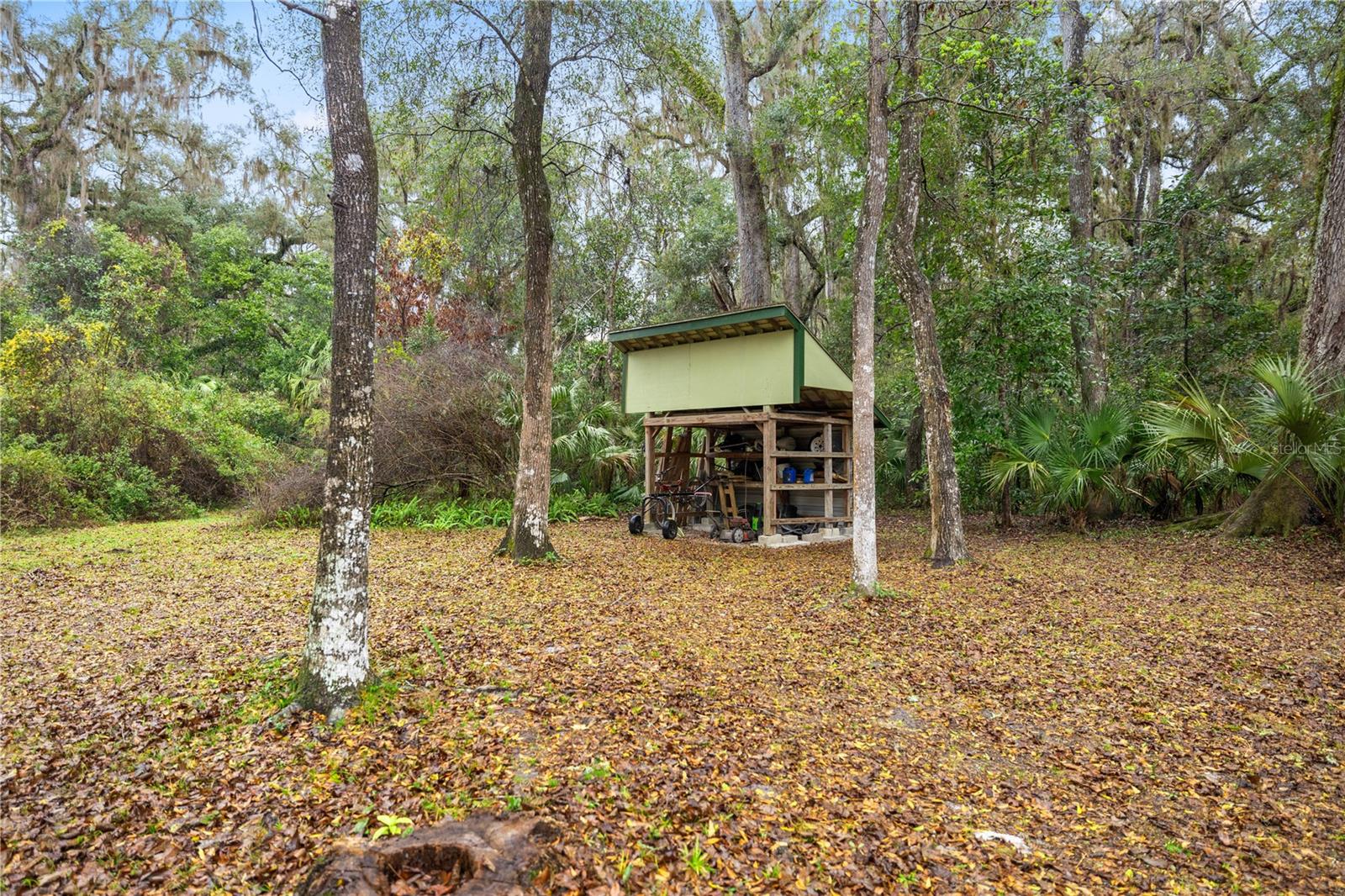 4131 NE 142ND PL, ANTHONY, FL, 32617
