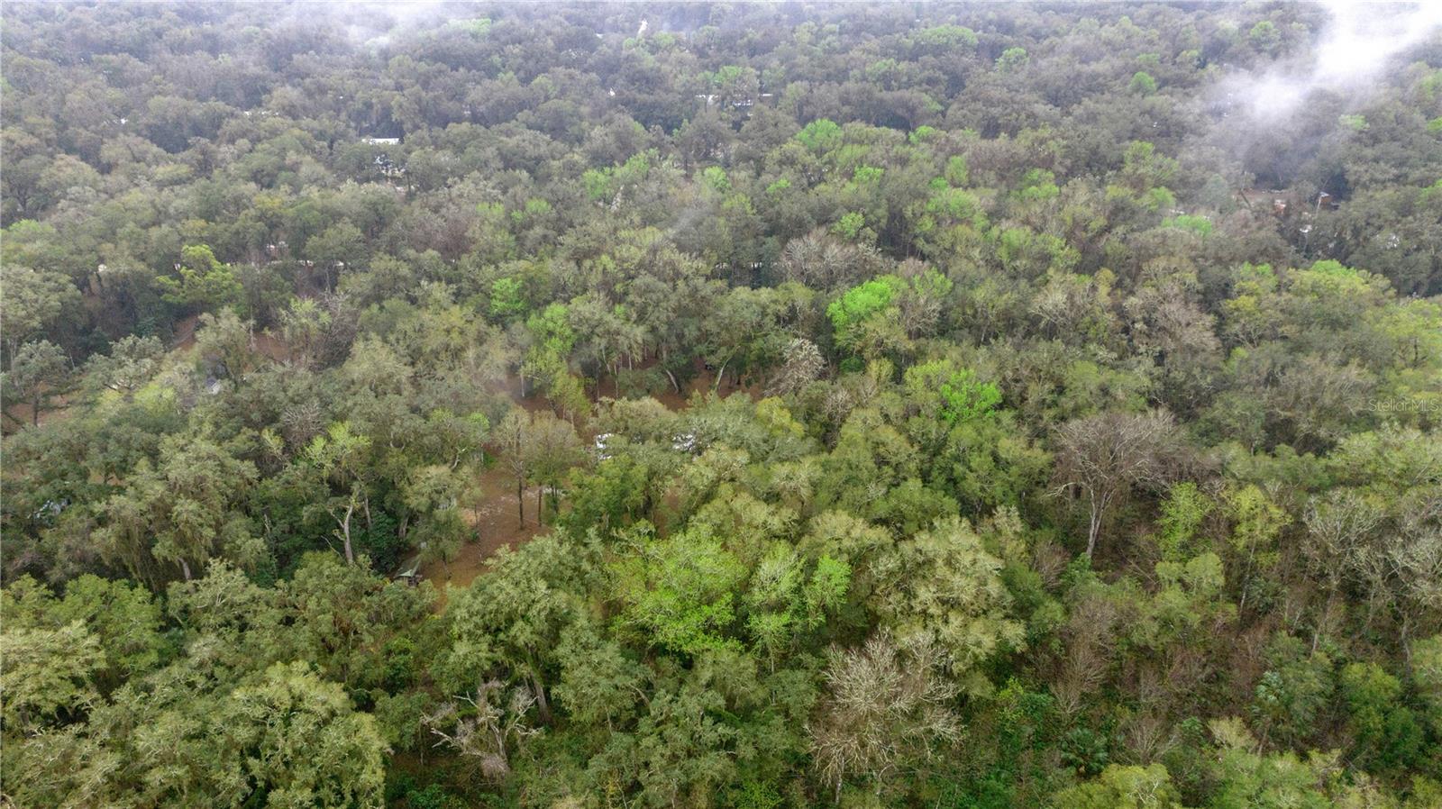 4131 NE 142ND PL, ANTHONY, FL, 32617