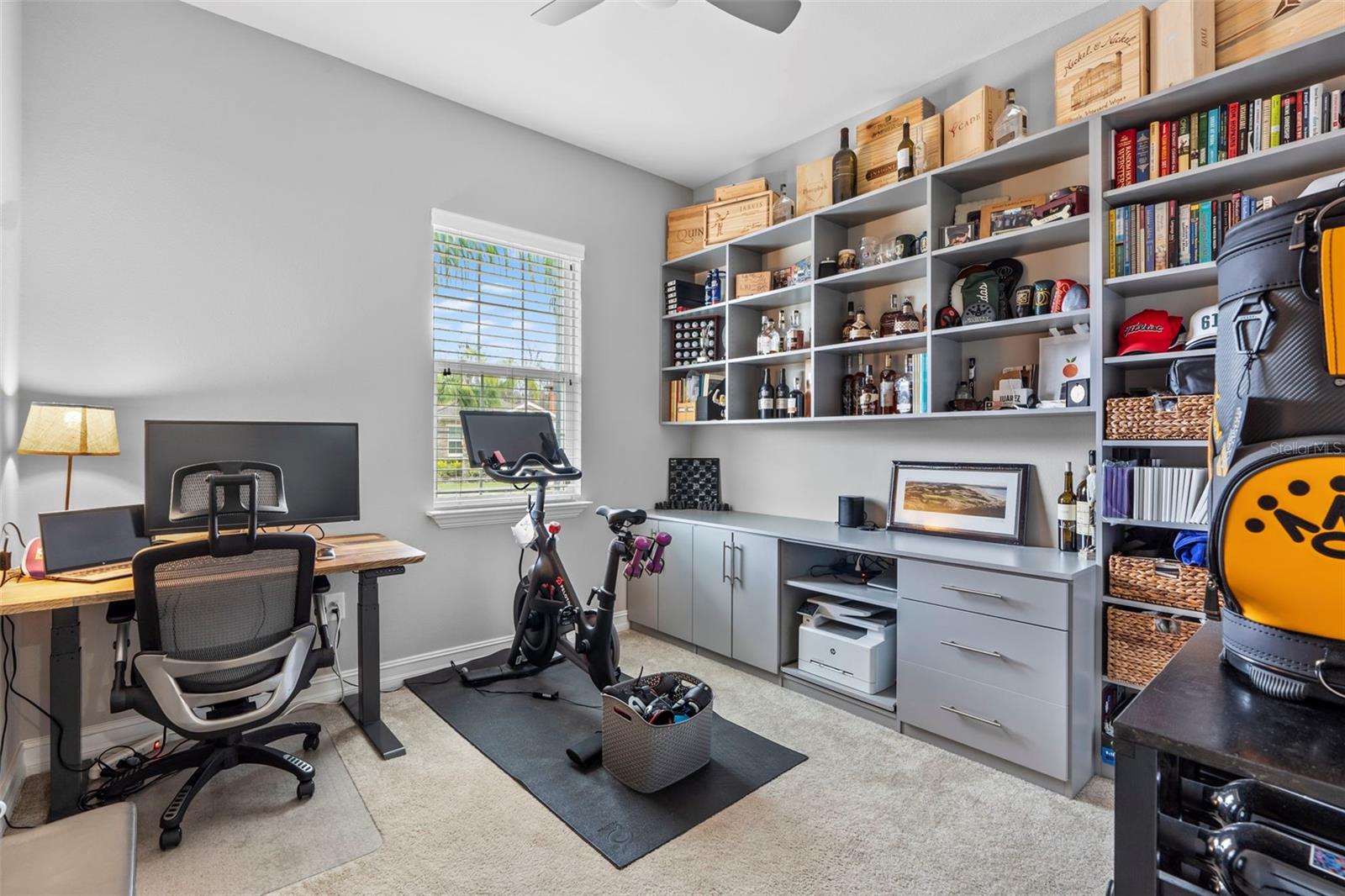 4495 CASELLA DR, WESLEY CHAPEL, FL, 33543