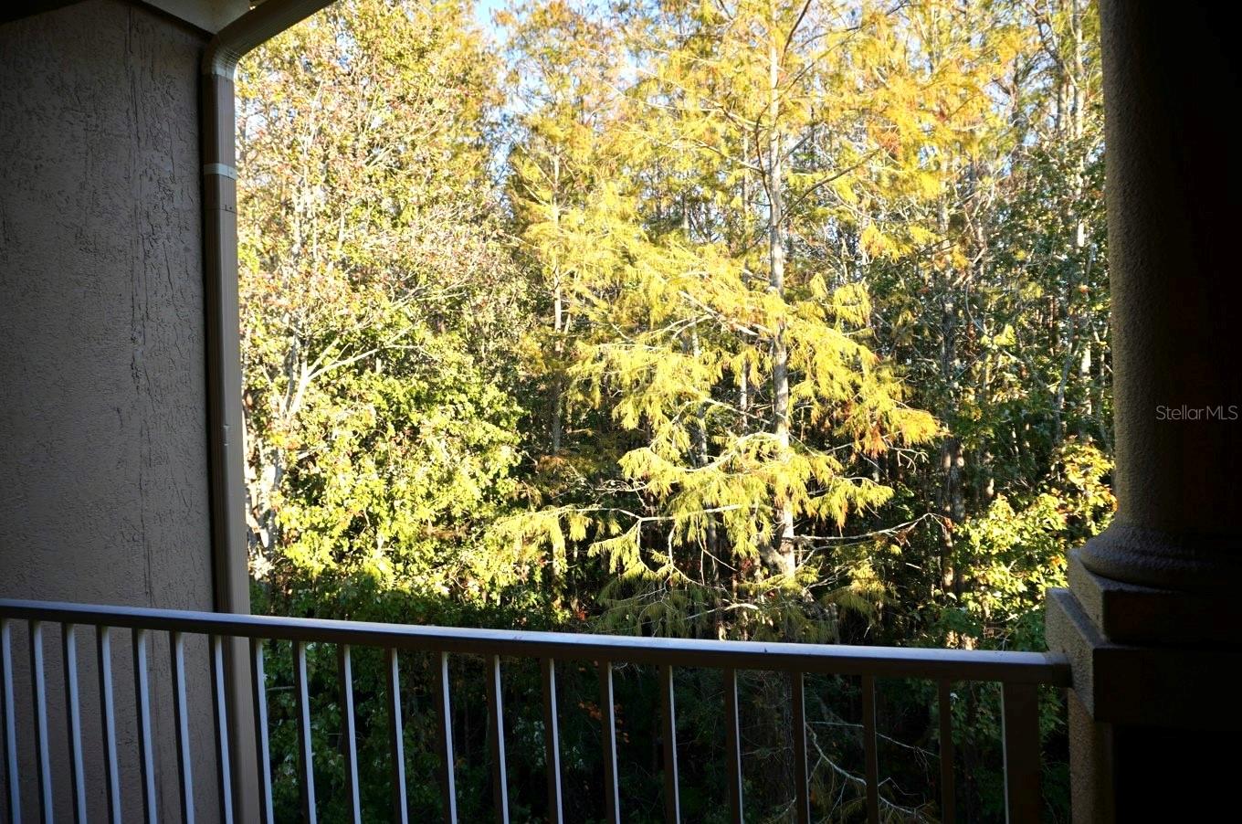 14341 FREDRICKSBURG DR #1015, ORLANDO, FL, 32837