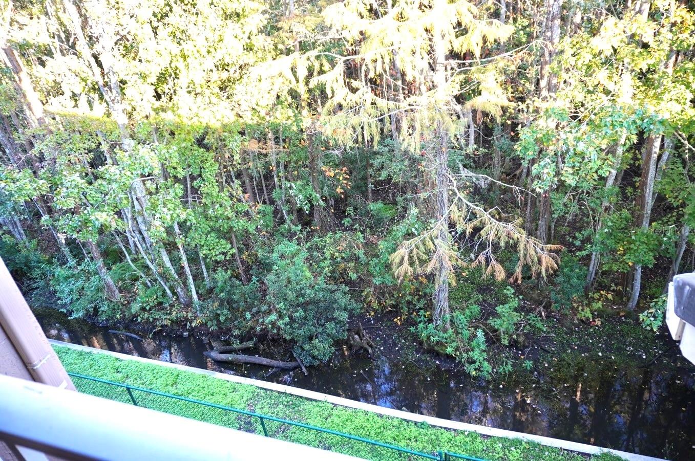 14341 FREDRICKSBURG DR #1015, ORLANDO, FL, 32837