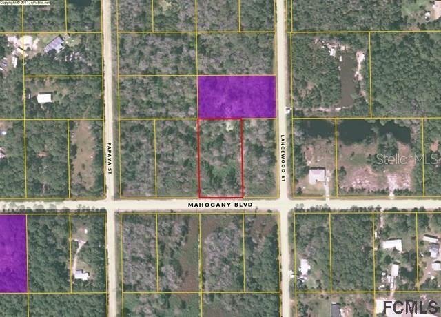 5014 N MAHOGANY BLVD, BUNNELL, FL, 32110