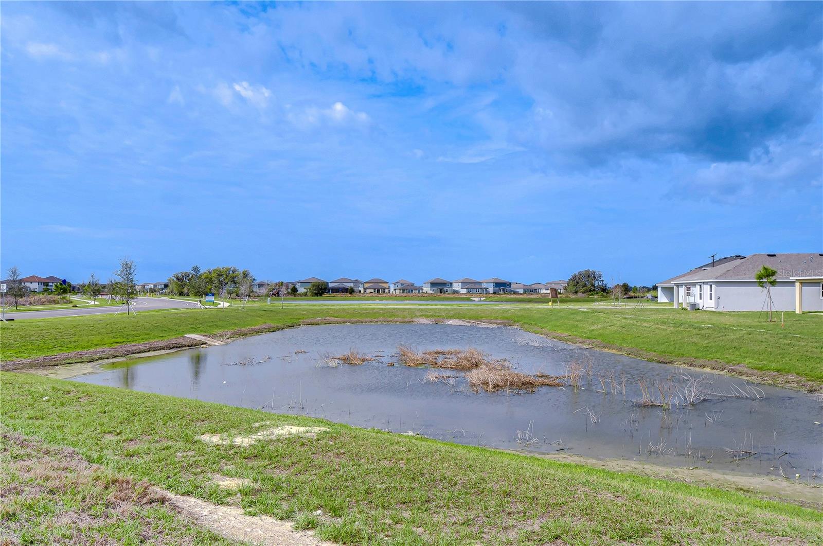 32980 RUSTIC RISE RD, SAN ANTONIO, FL, 33576