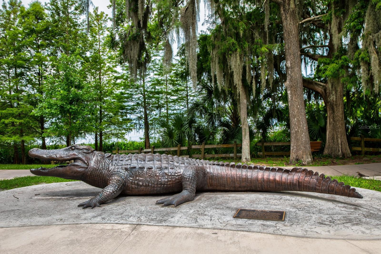 715 S GRANDVIEW ST, MOUNT DORA, FL, 32757