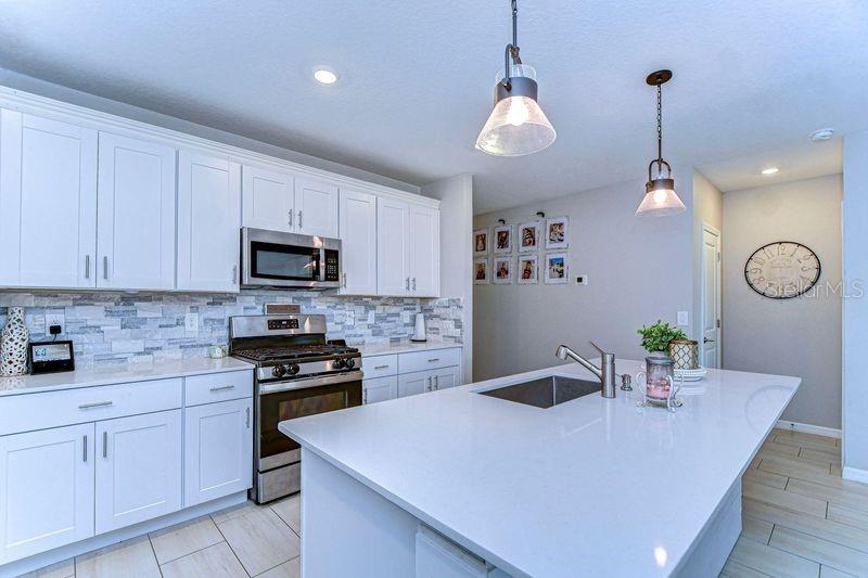 22167 TUCANA WAY, LAND O LAKES, FL, 34637