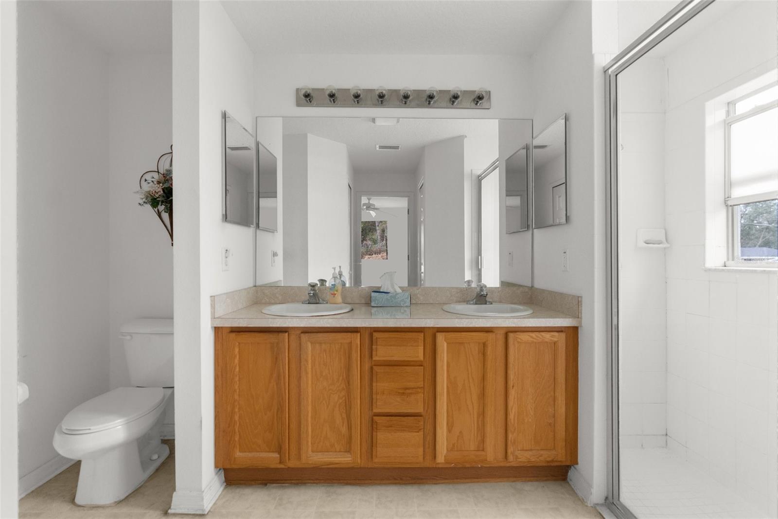 5331 BERRIEN AVE, SPRING HILL, FL, 34608