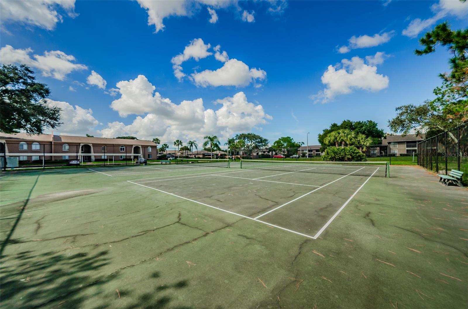 244 115TH AVE N #3, ST PETERSBURG, FL, 33716