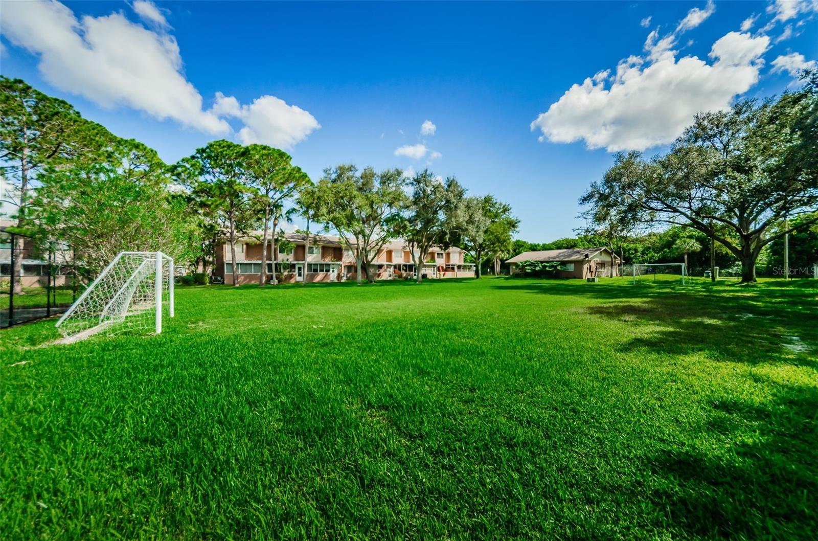 244 115TH AVE N #3, ST PETERSBURG, FL, 33716