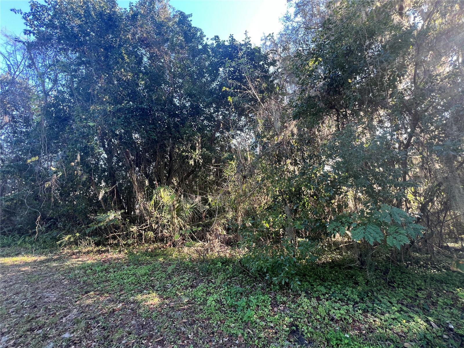 SE 14 ST, OCALA, FL, 34470