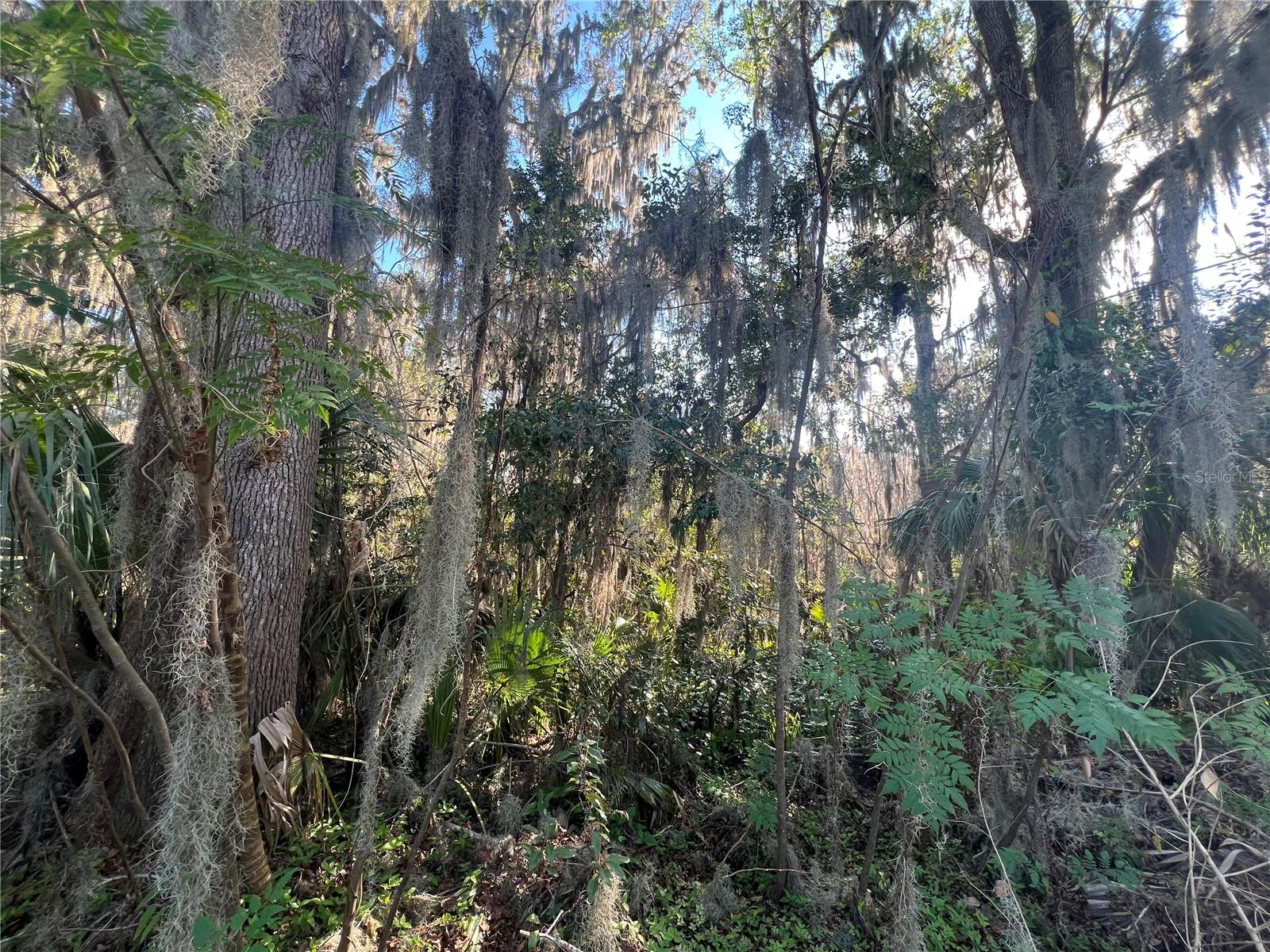 SE 14 ST, OCALA, FL, 34470