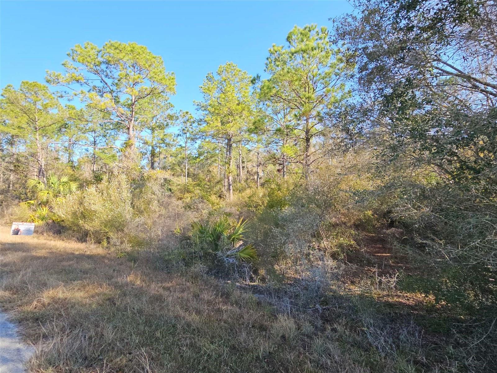 12639 W CHECKERBERRY DR, CRYSTAL RIVER, FL, 34428