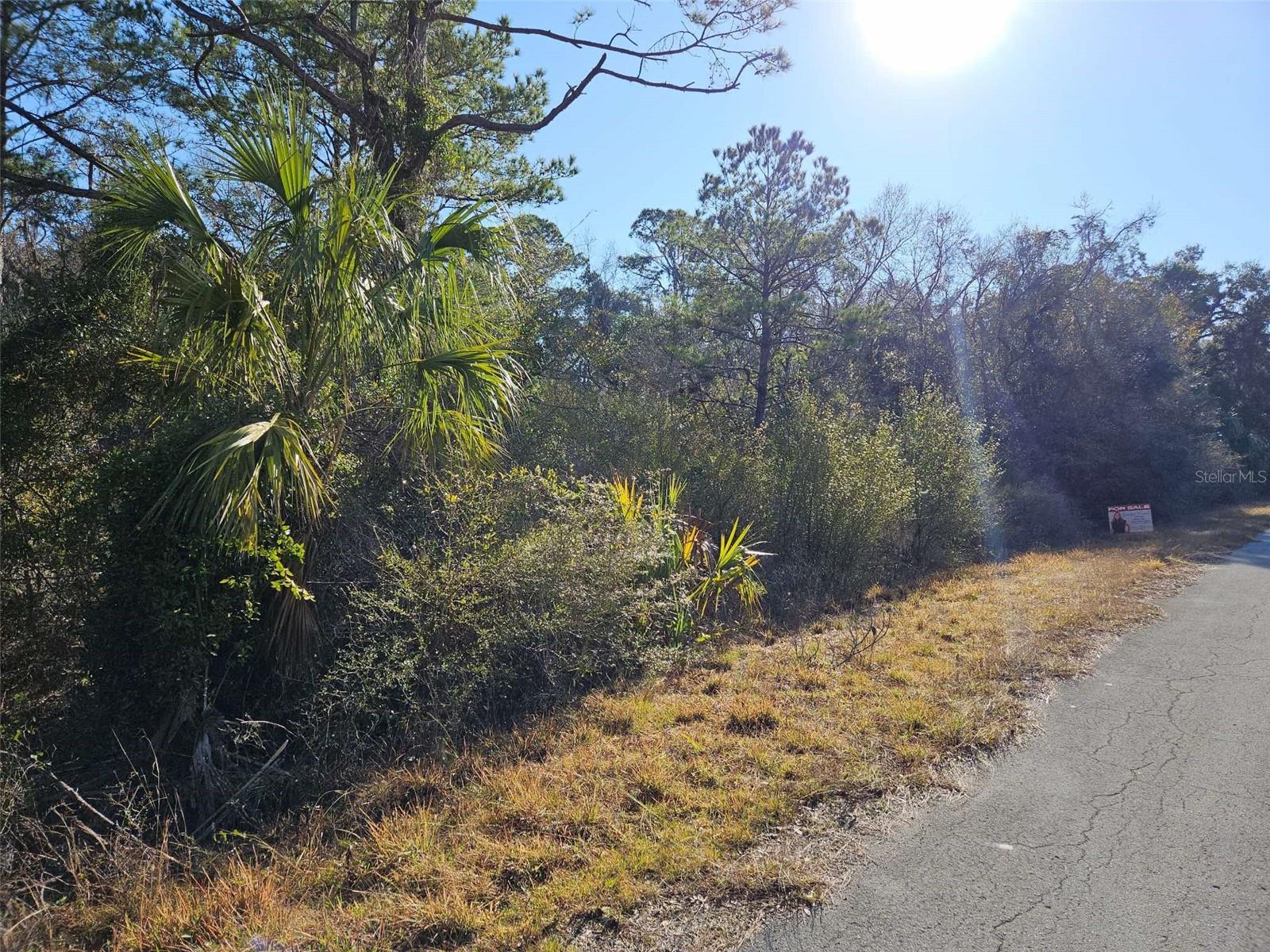 12639 W CHECKERBERRY DR, CRYSTAL RIVER, FL, 34428